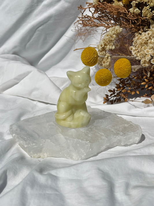 Lemon Jade Cat
