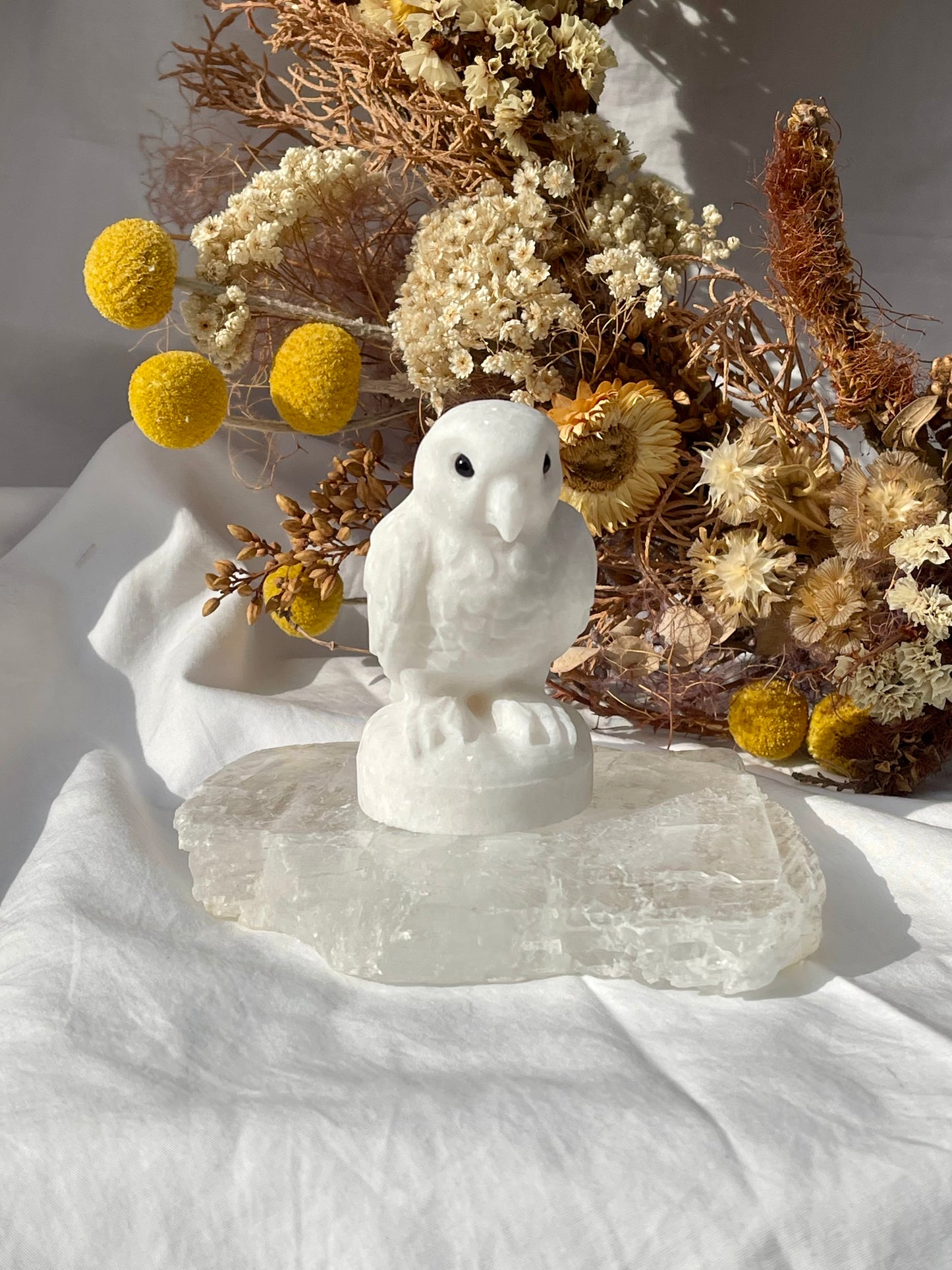 White Jade Parrot
