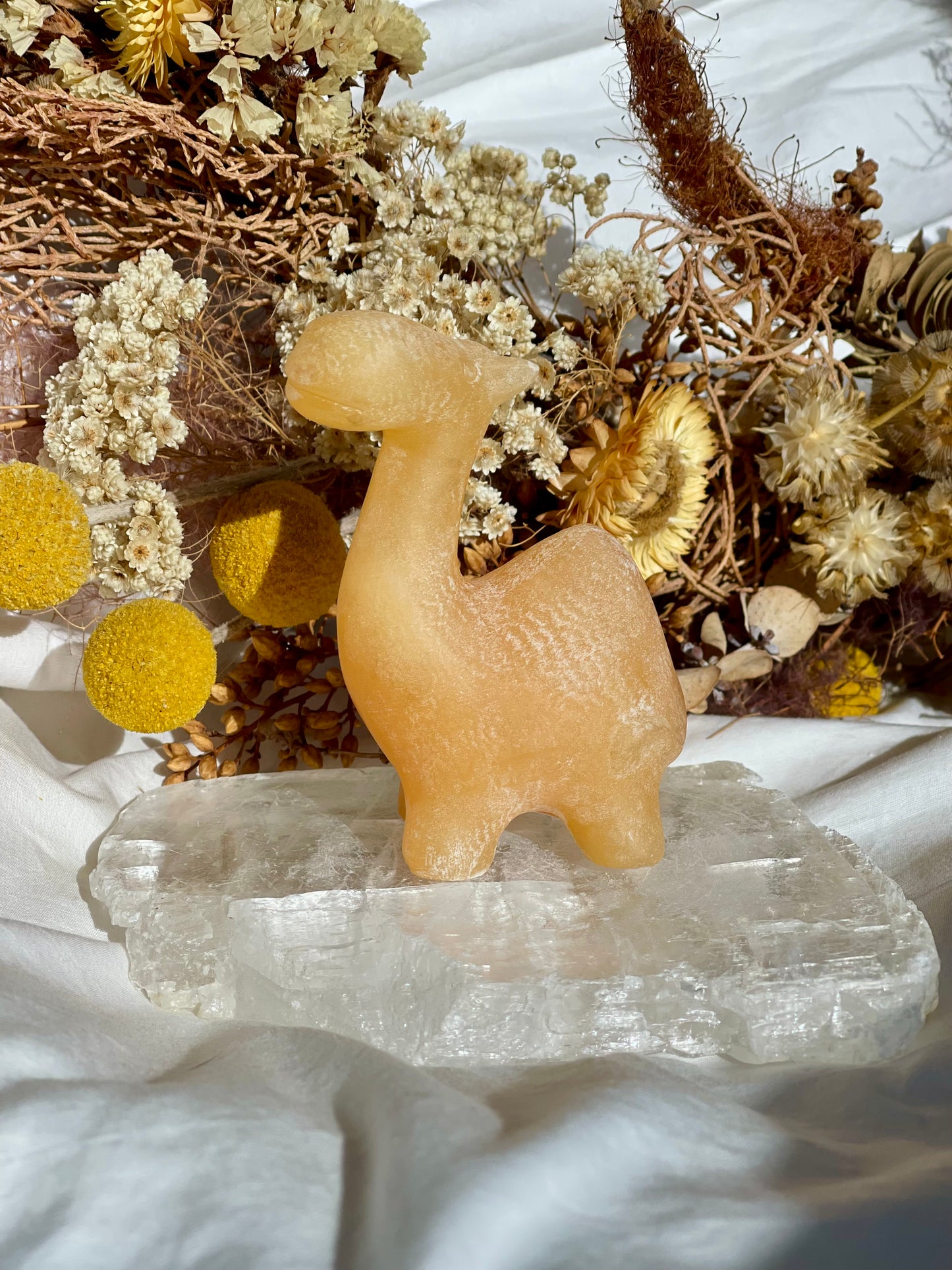 Orange Calcite Camel