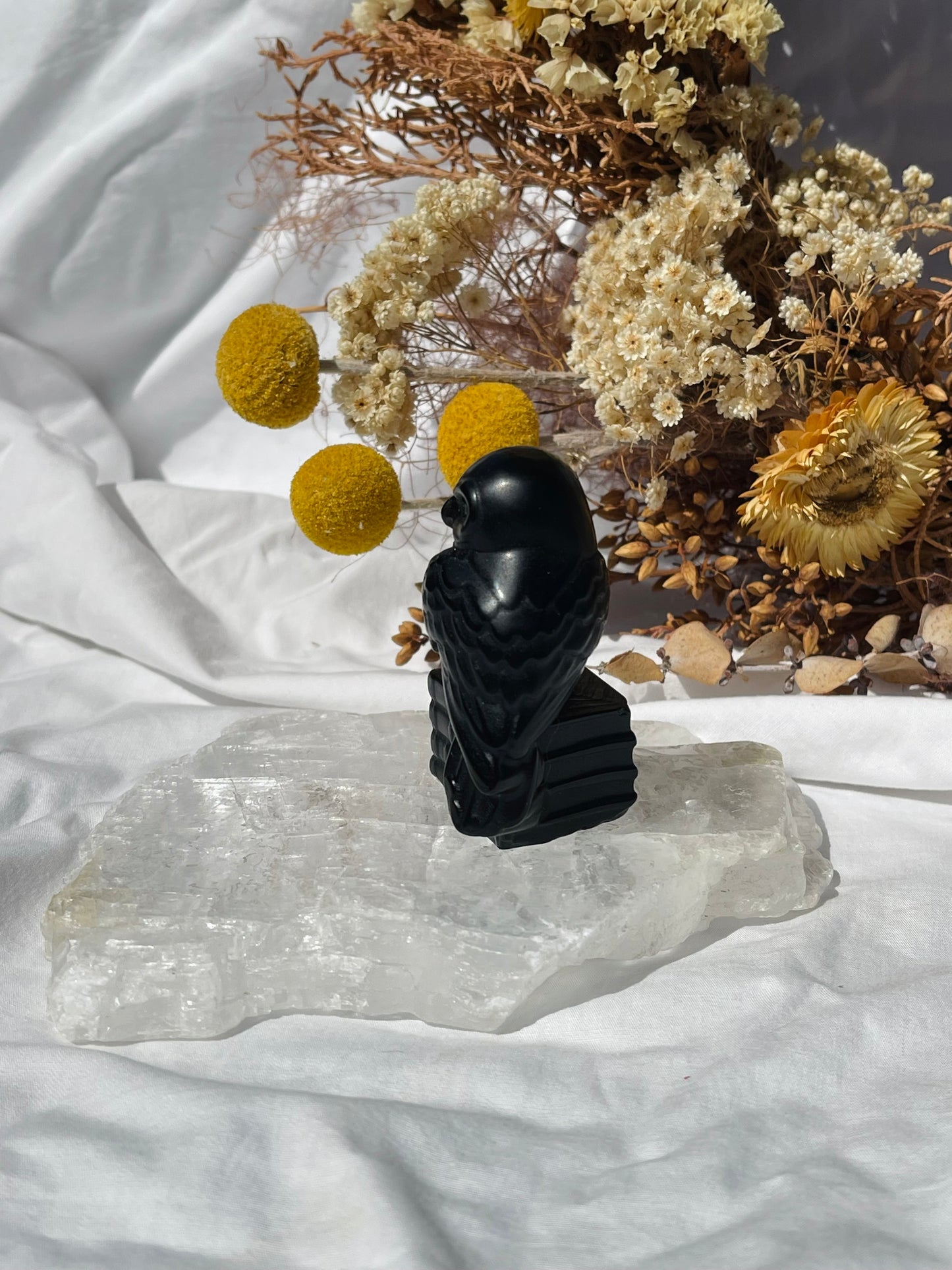 Black Obsidian Owl #1