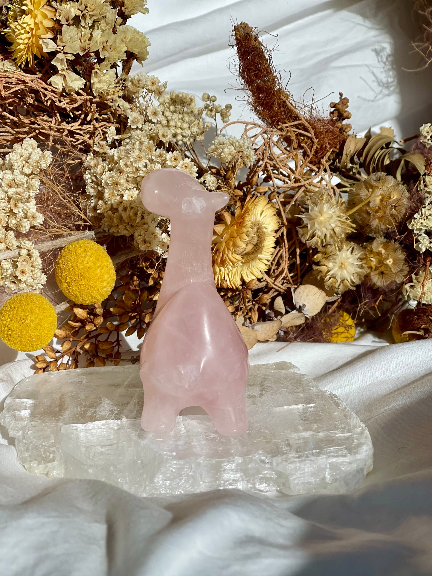 Rose Quartz Camel
