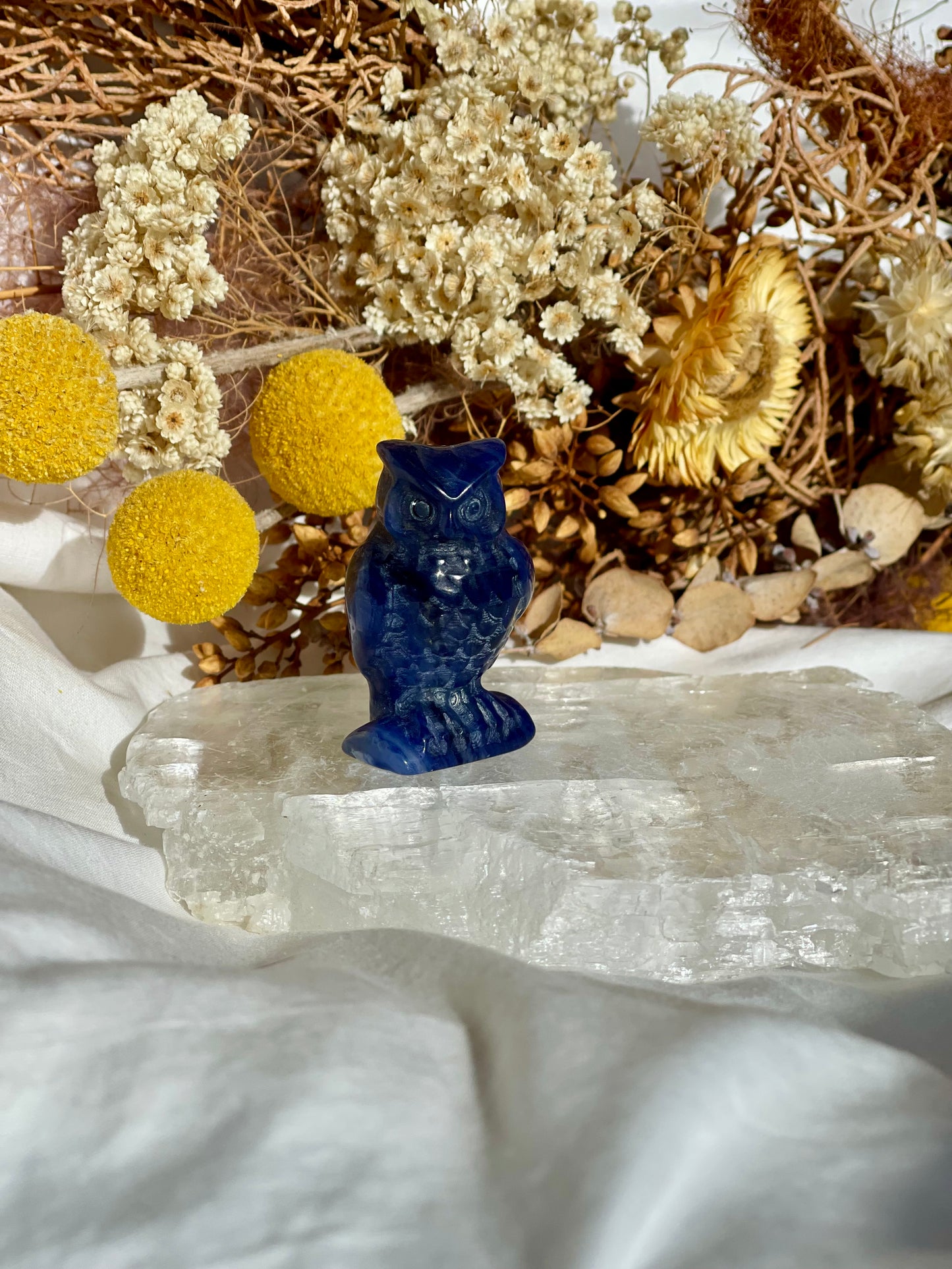 Sodalite Owl