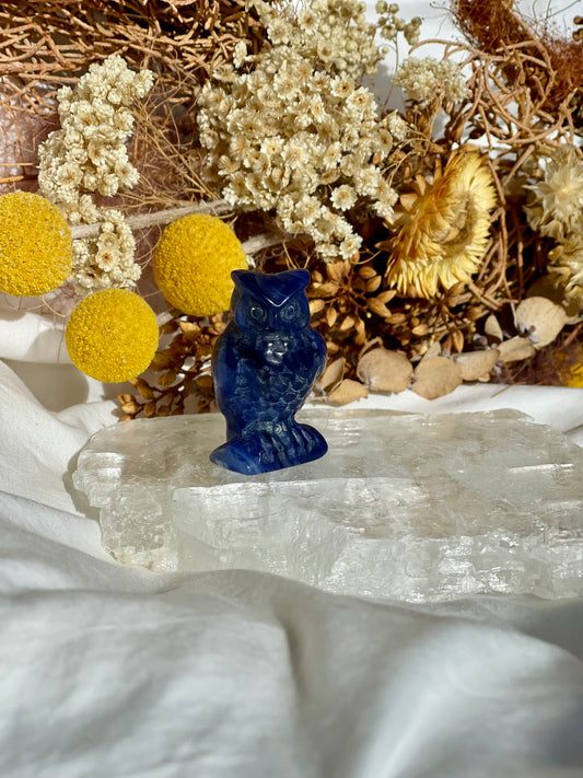 Sodalite Owl