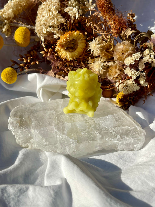 Lemon Jade Hedgehog