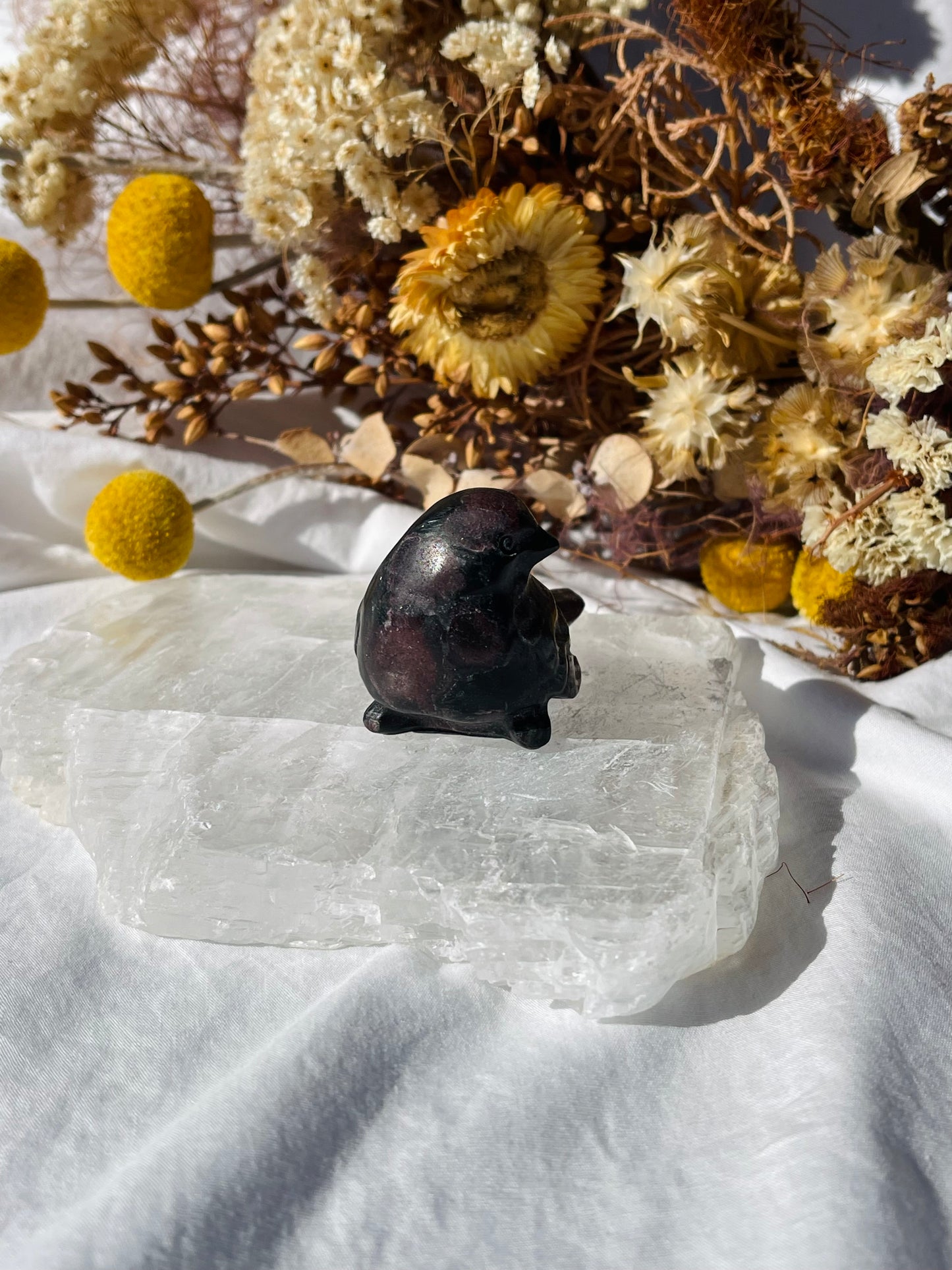 Garnet Astrophyllite Bird #2