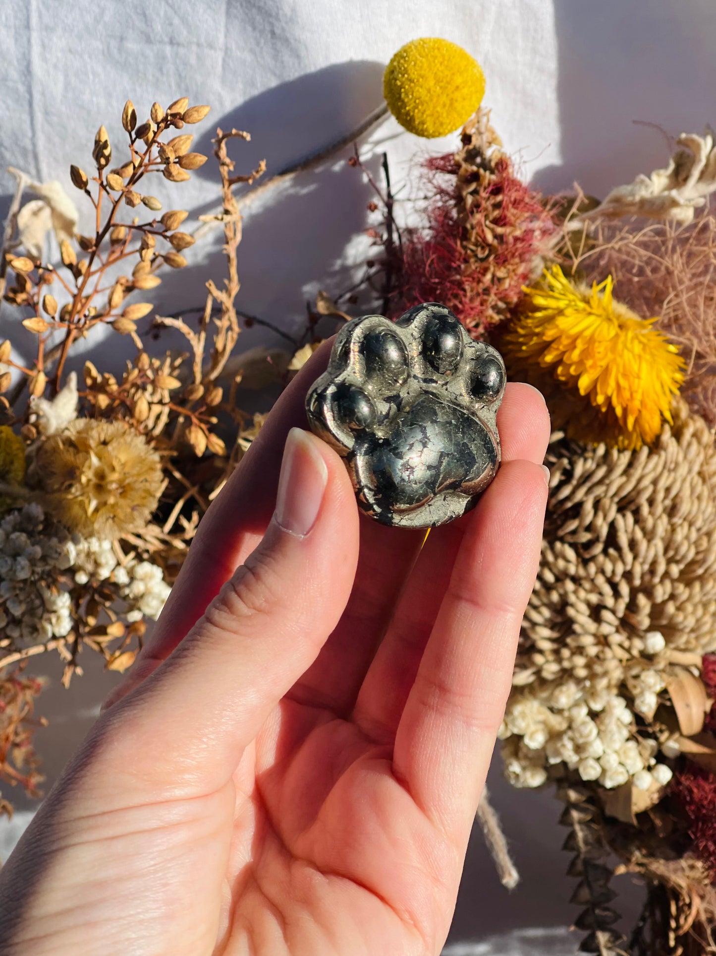 Pyrite Paw