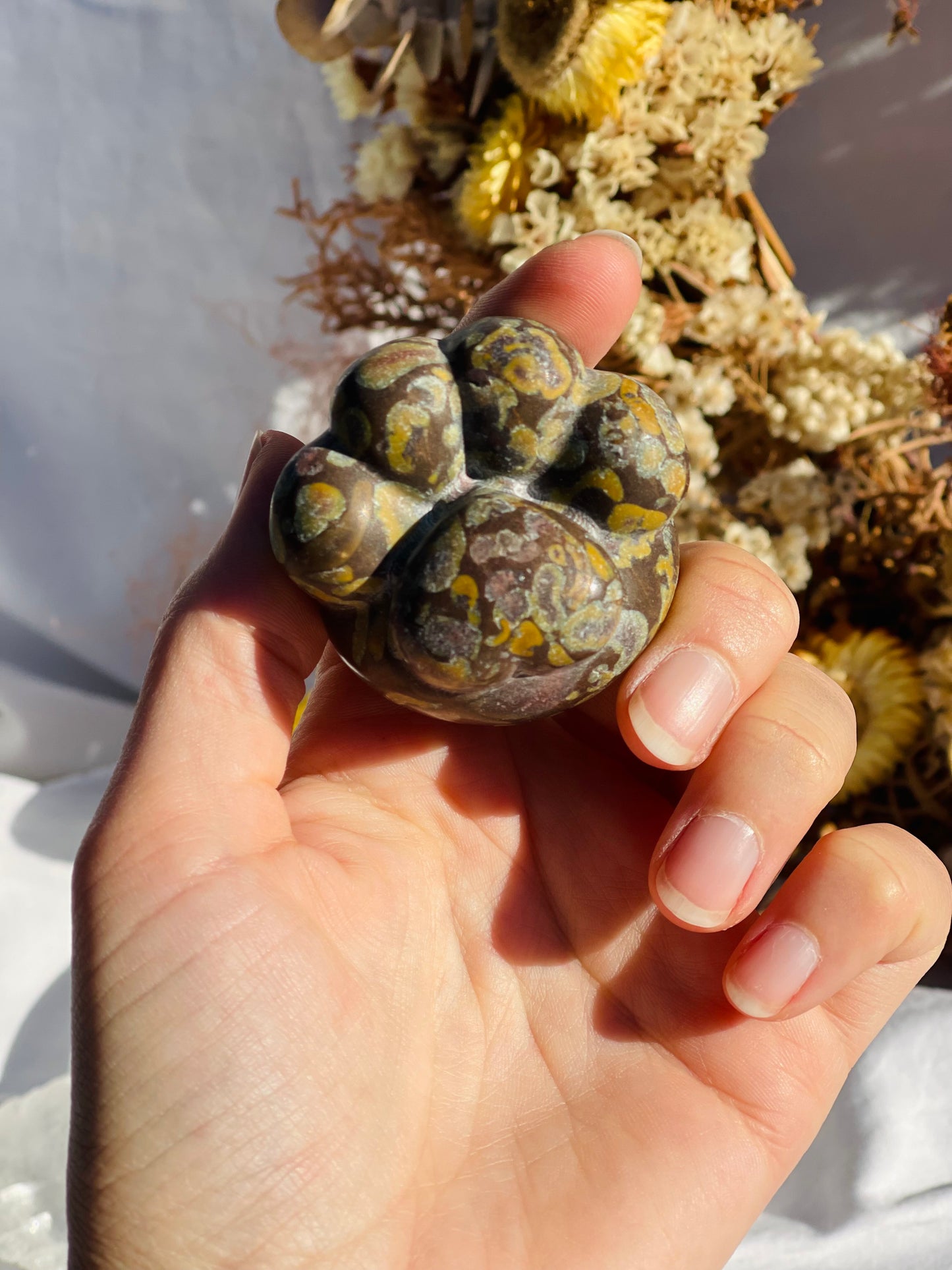 Fruit Jasper Paw