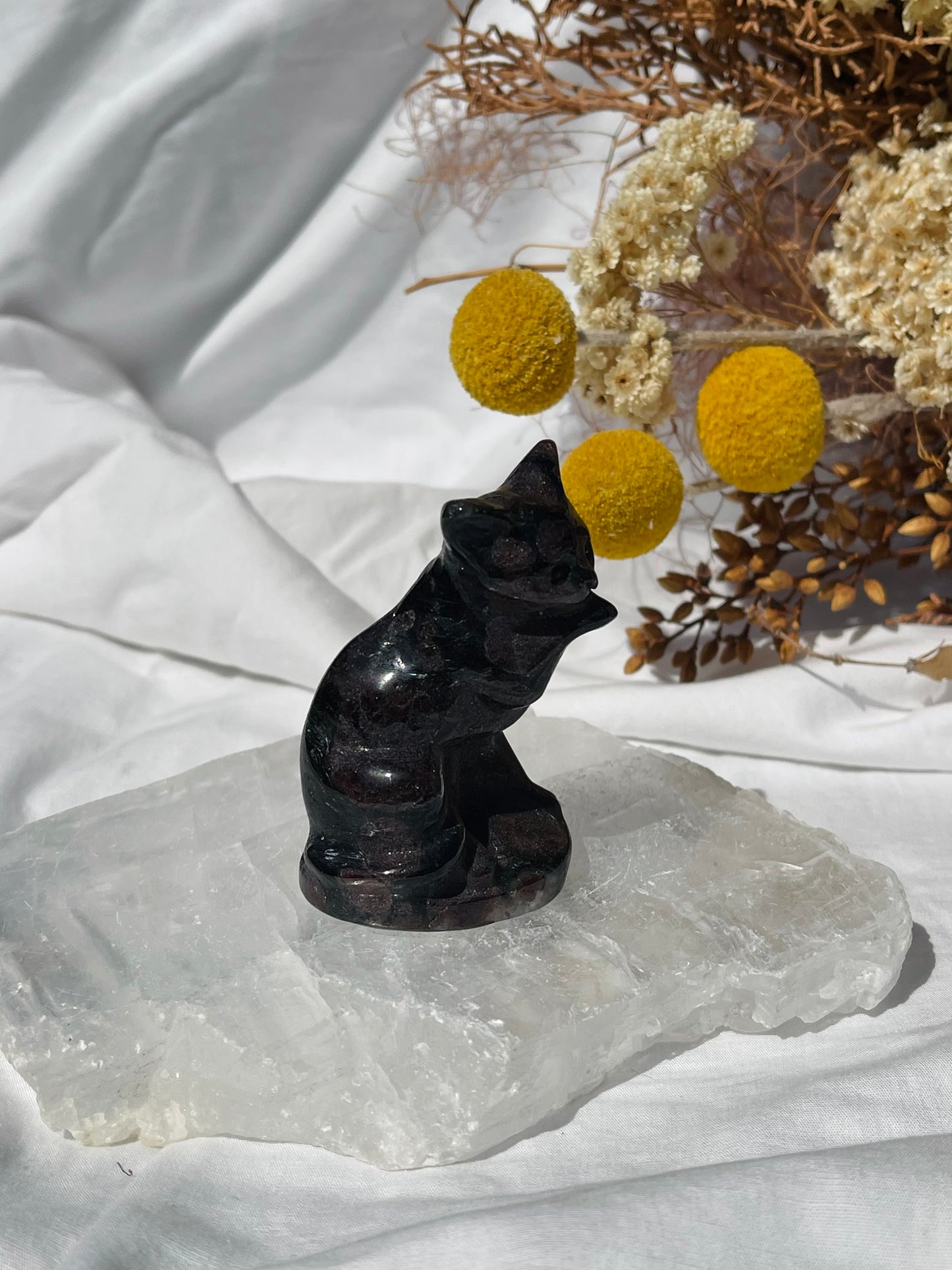 Garnet Astrophyllite Cat #2