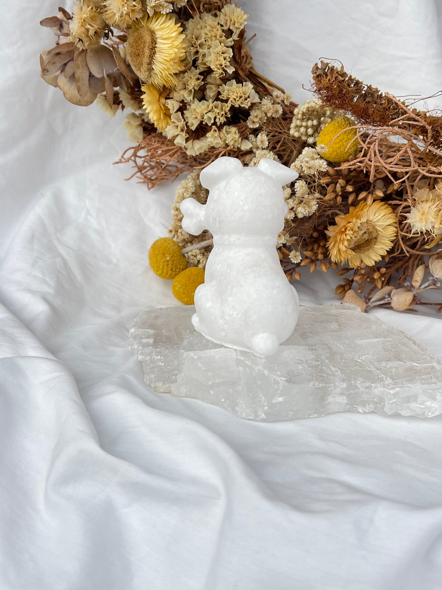 White Jade Dog With Bone