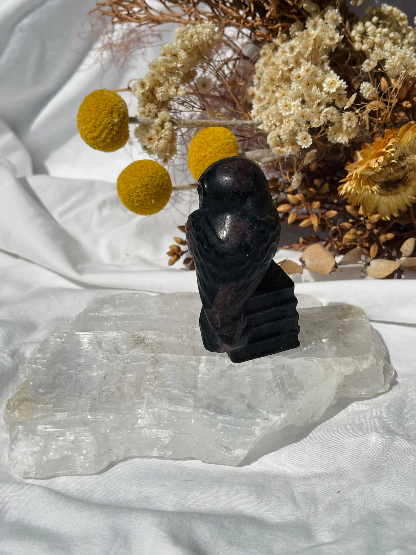 Garnet Astrophyllite Owl #2