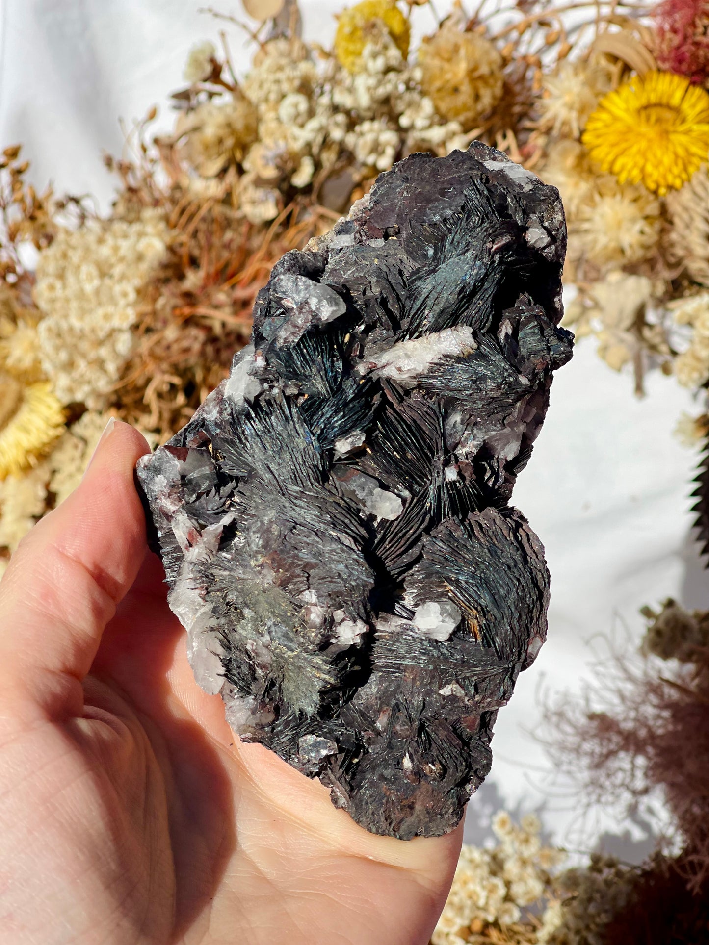 Black Rose Specularite With Quartz #2