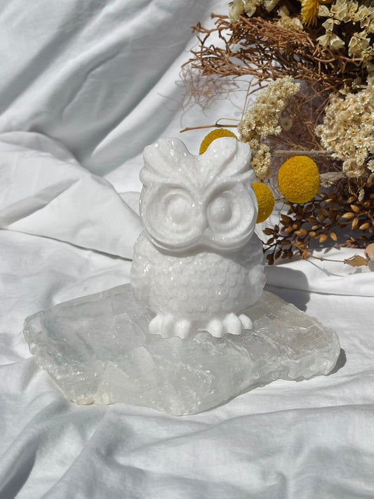 White Jade Owl