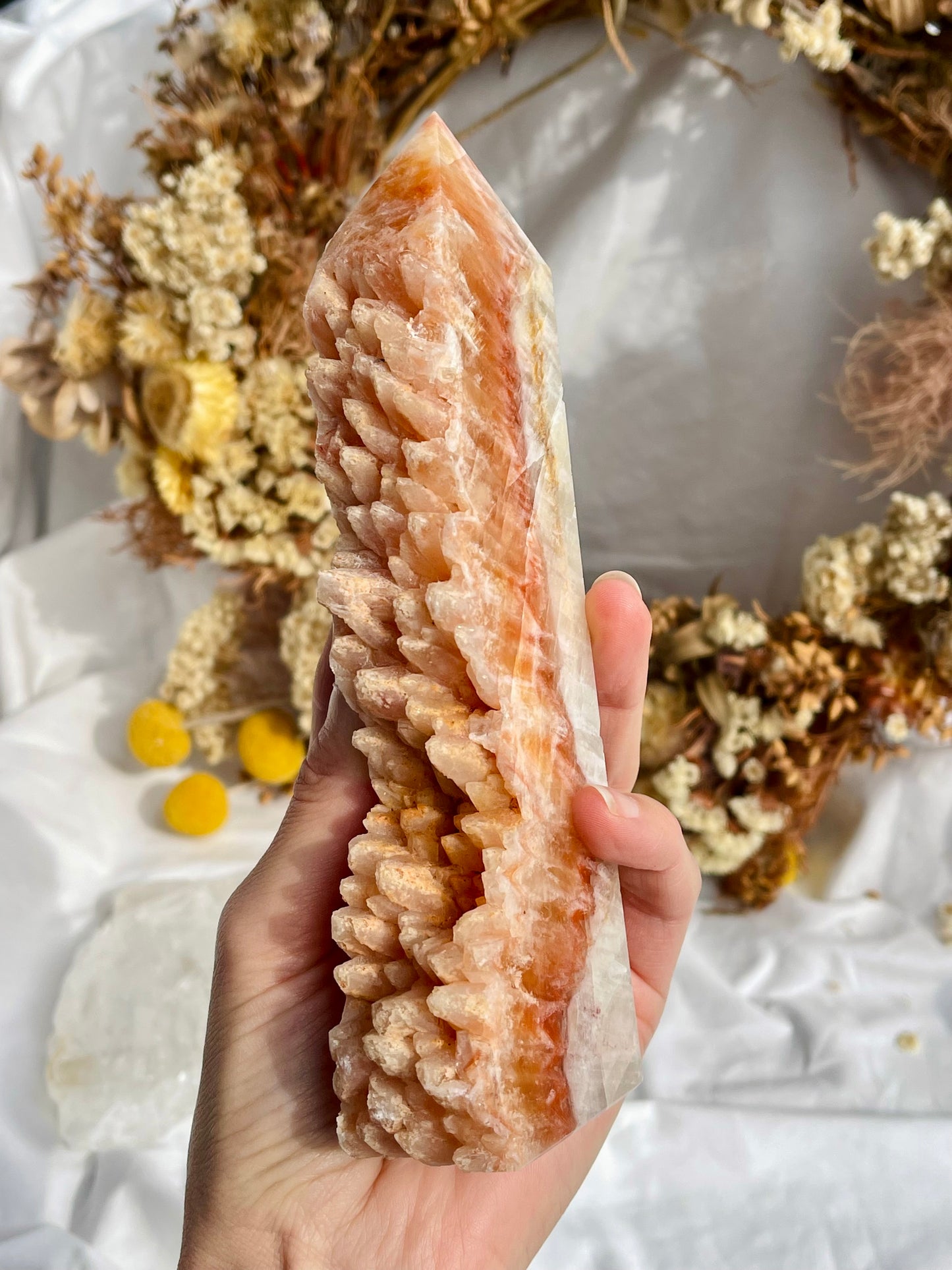 Orange Dogs Tooth Calcite Point