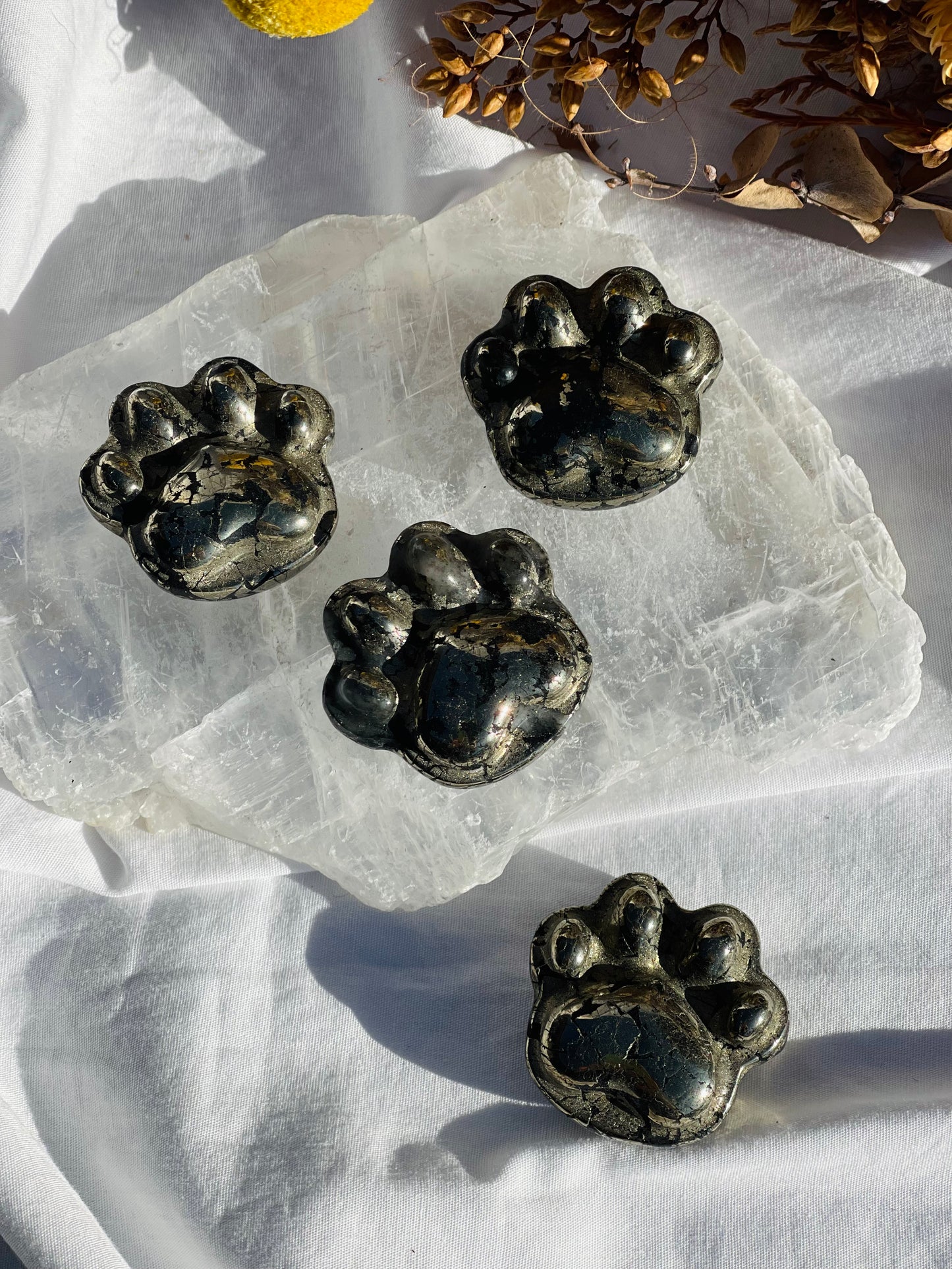 Pyrite Paw