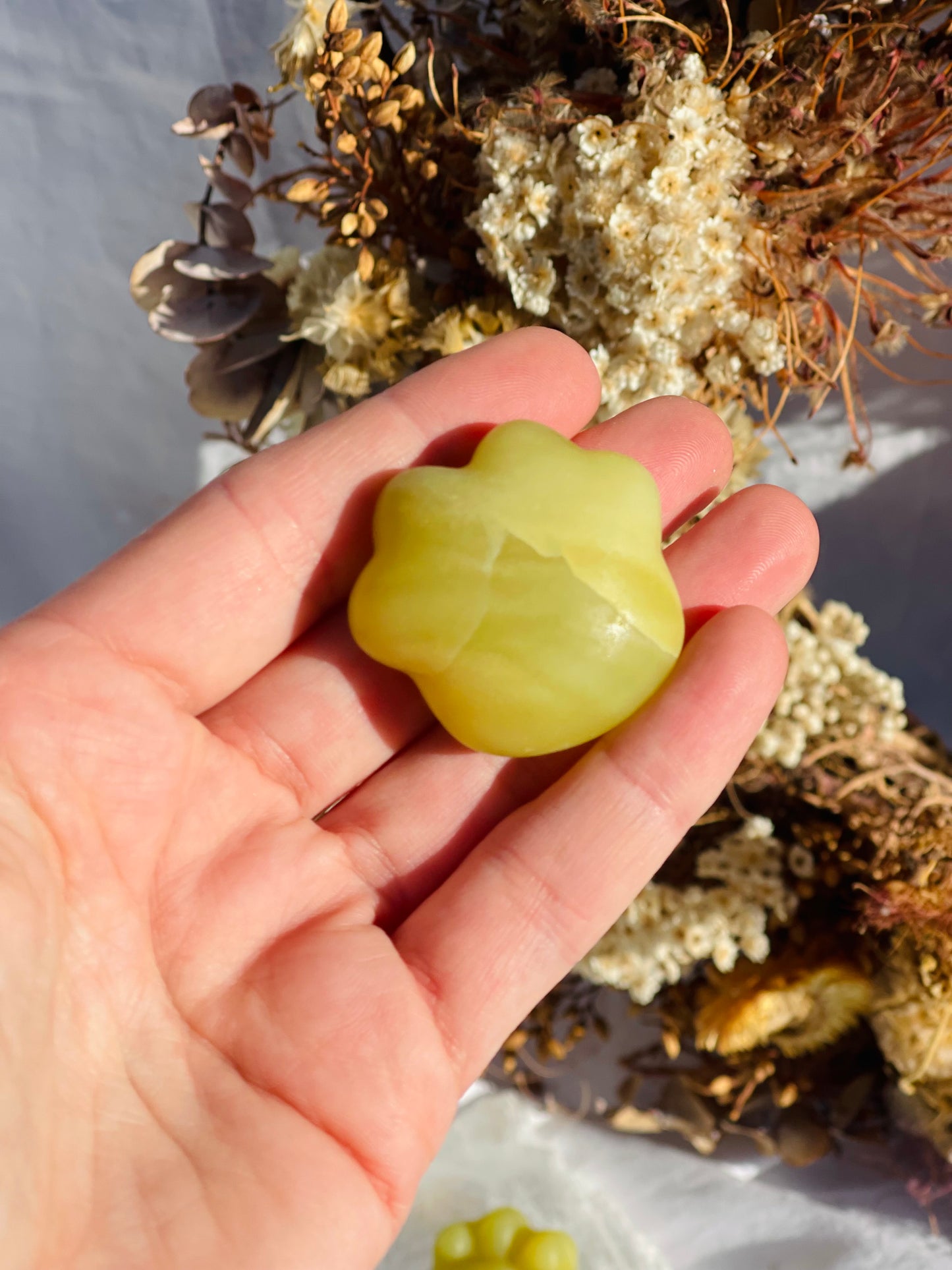 Lemon Jade Paw