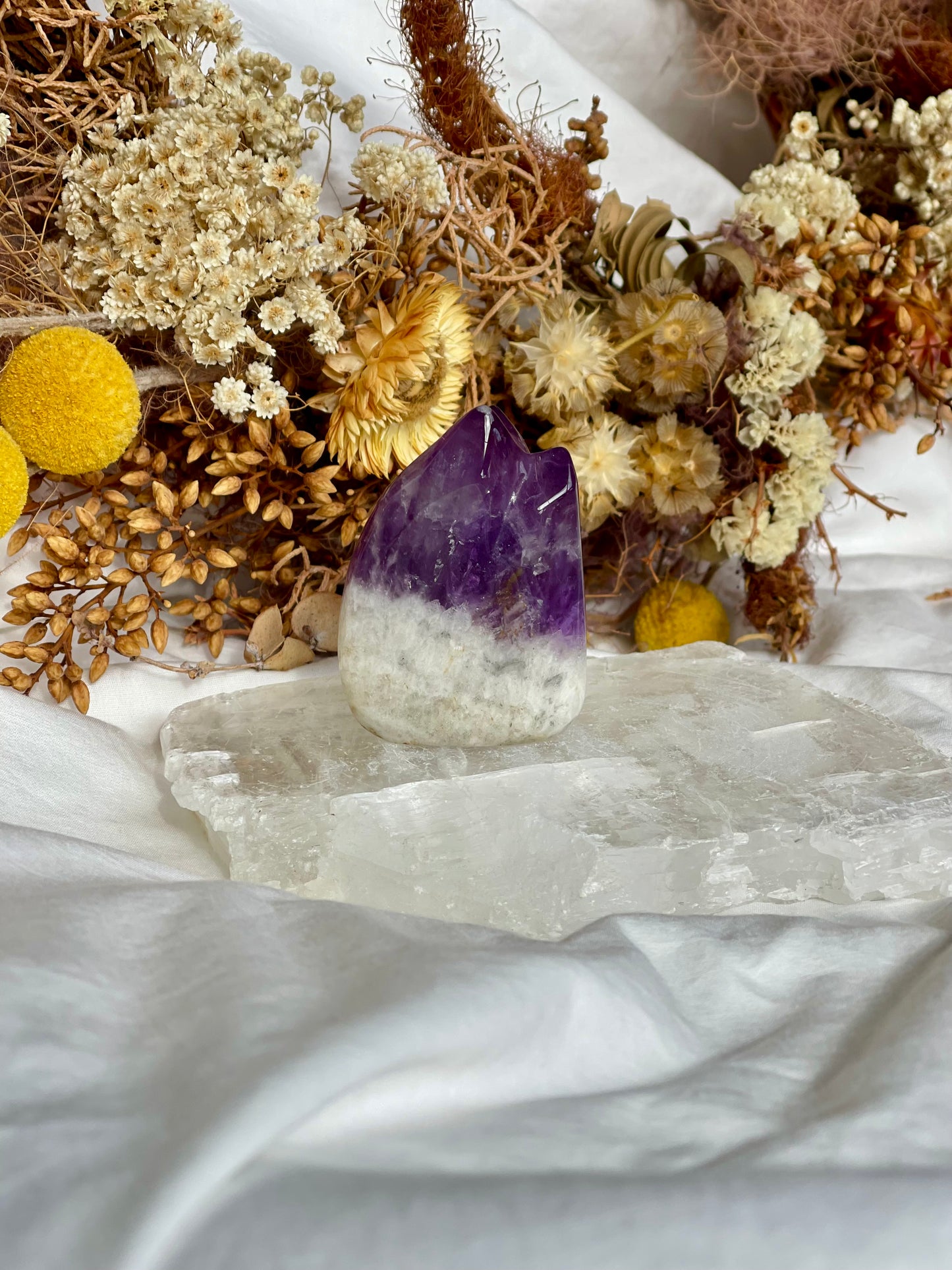 Amethyst Critter #1