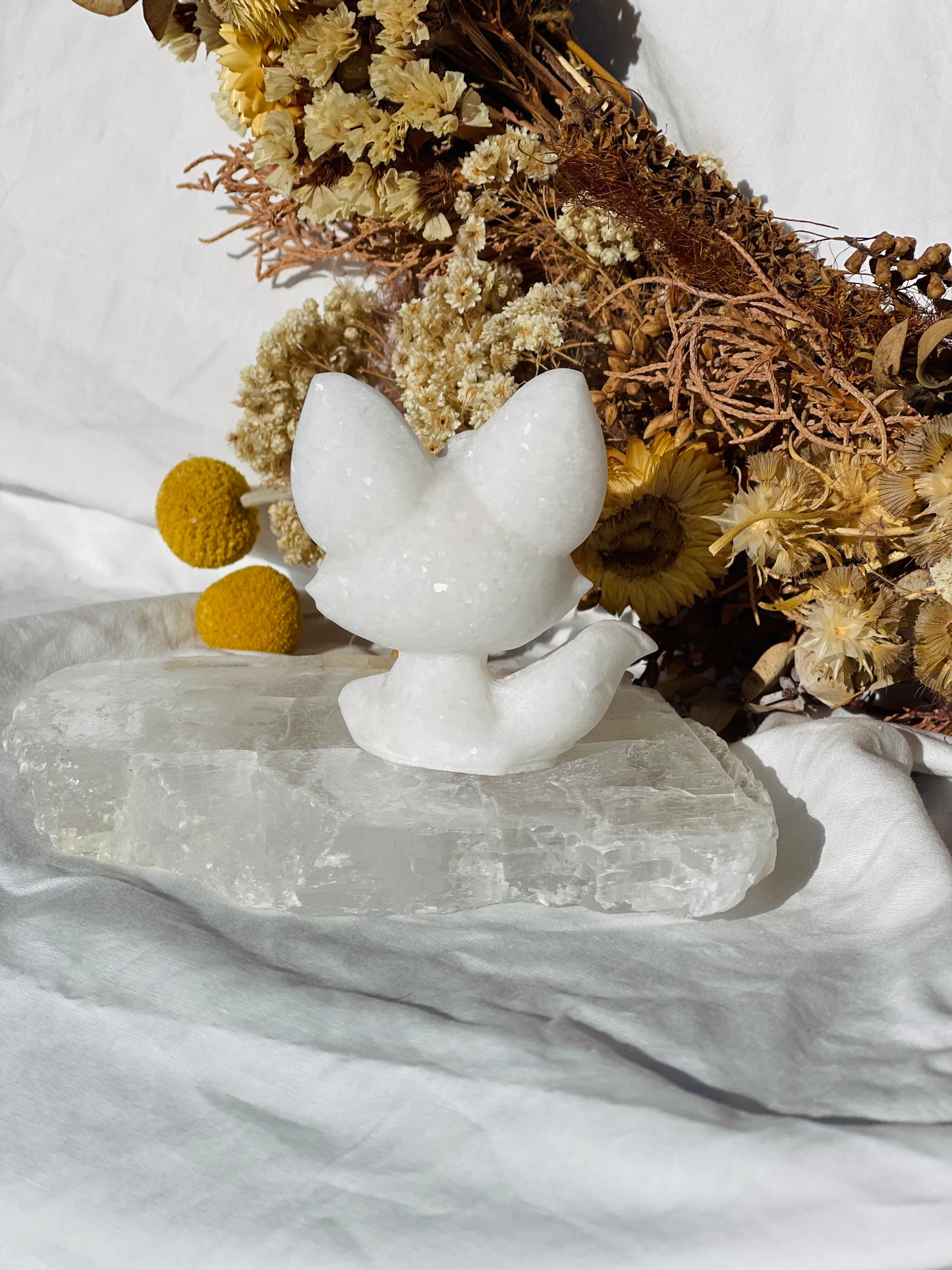 White Jade baby Fox