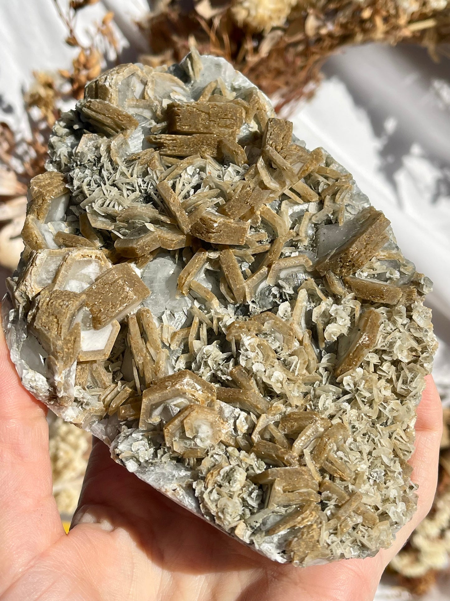Blue & Yellow Poker Chip Calcite Specimen