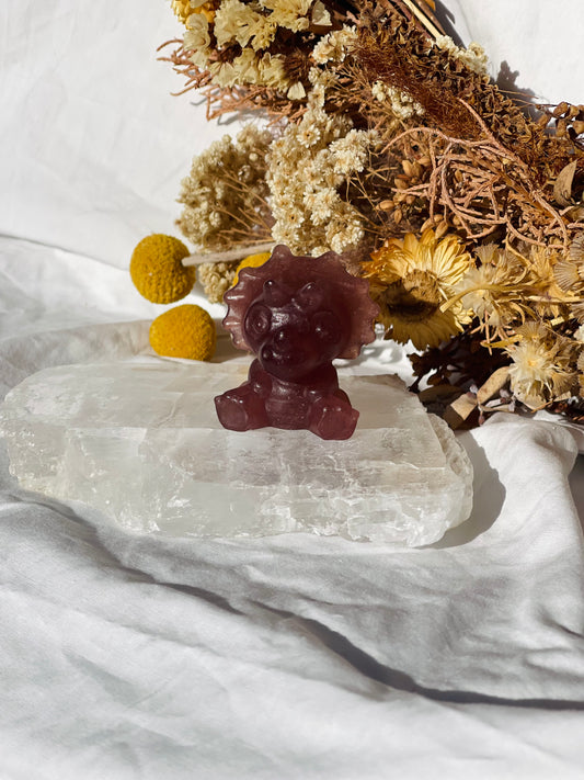 Strawberry Quartz baby Triceratops