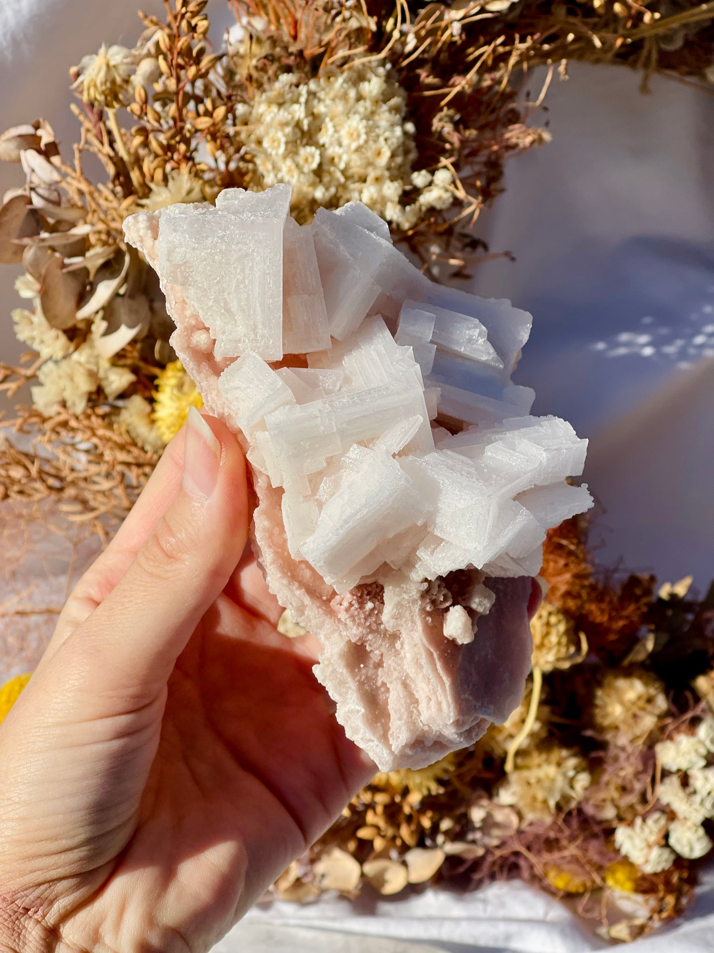 Pink Halite Cluster #4