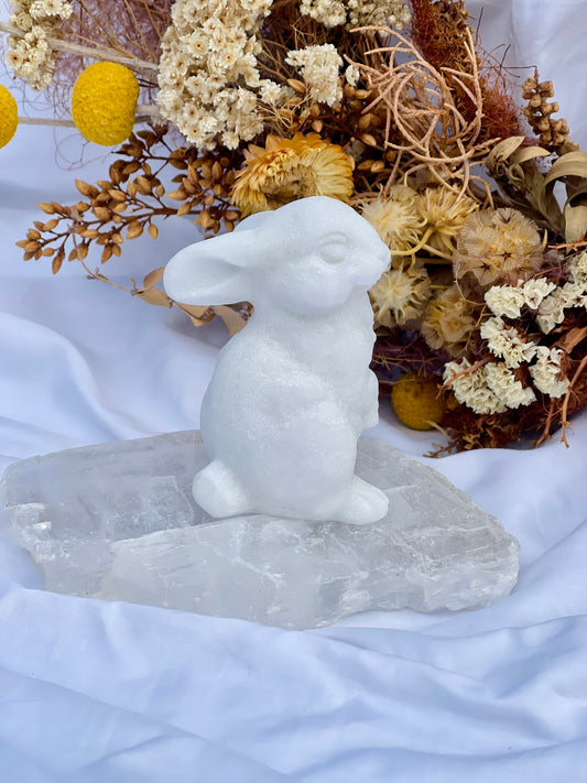 White Jade Bunny