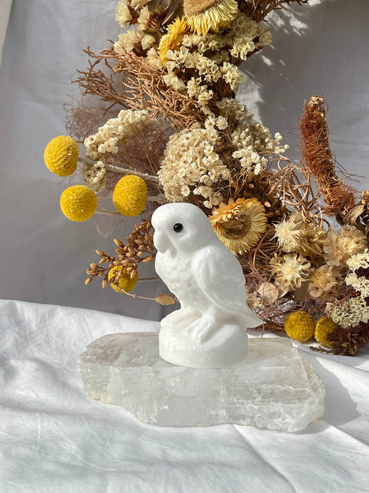 White Jade Parrot