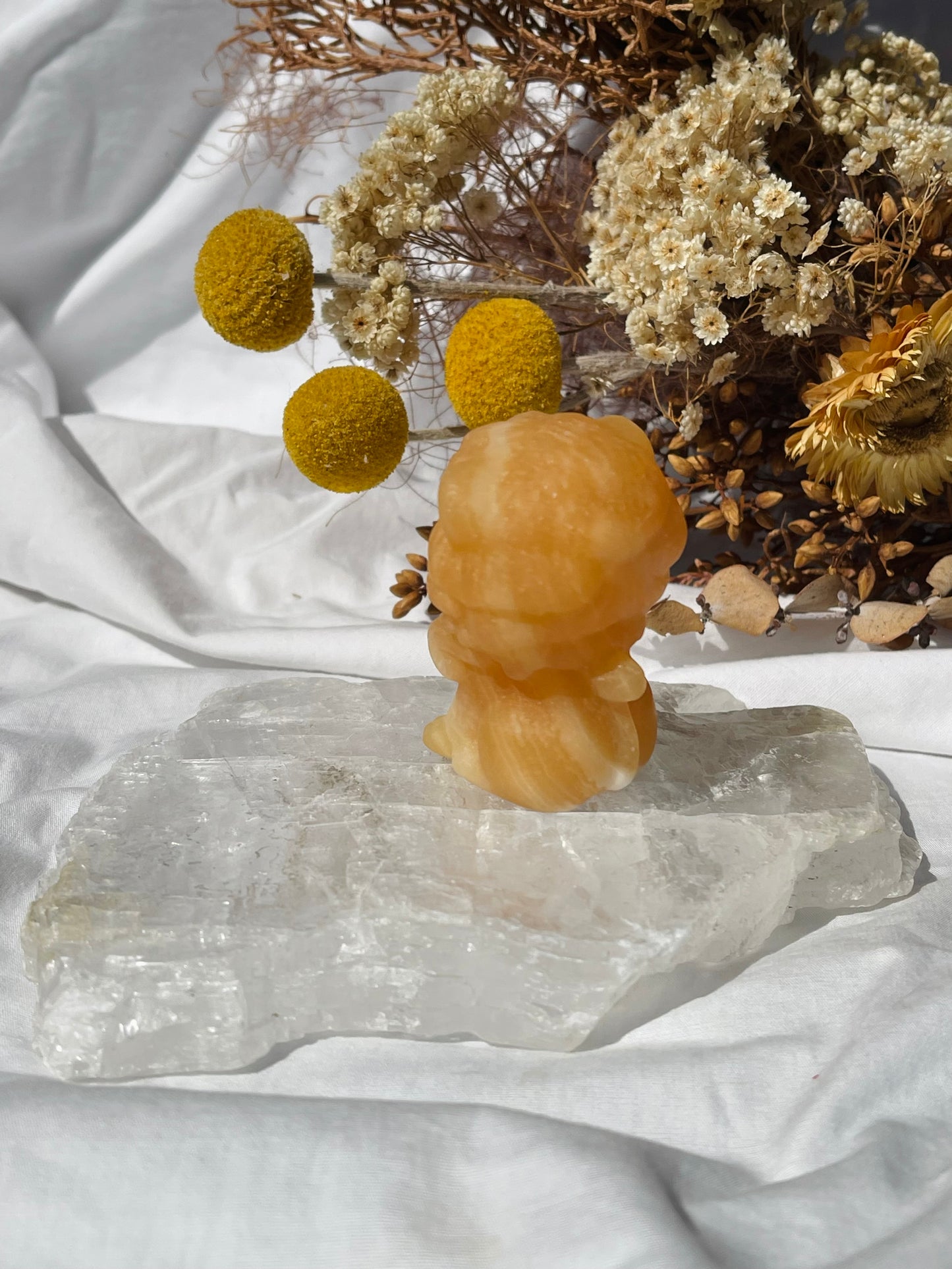 Orange Calcite Baby Lion