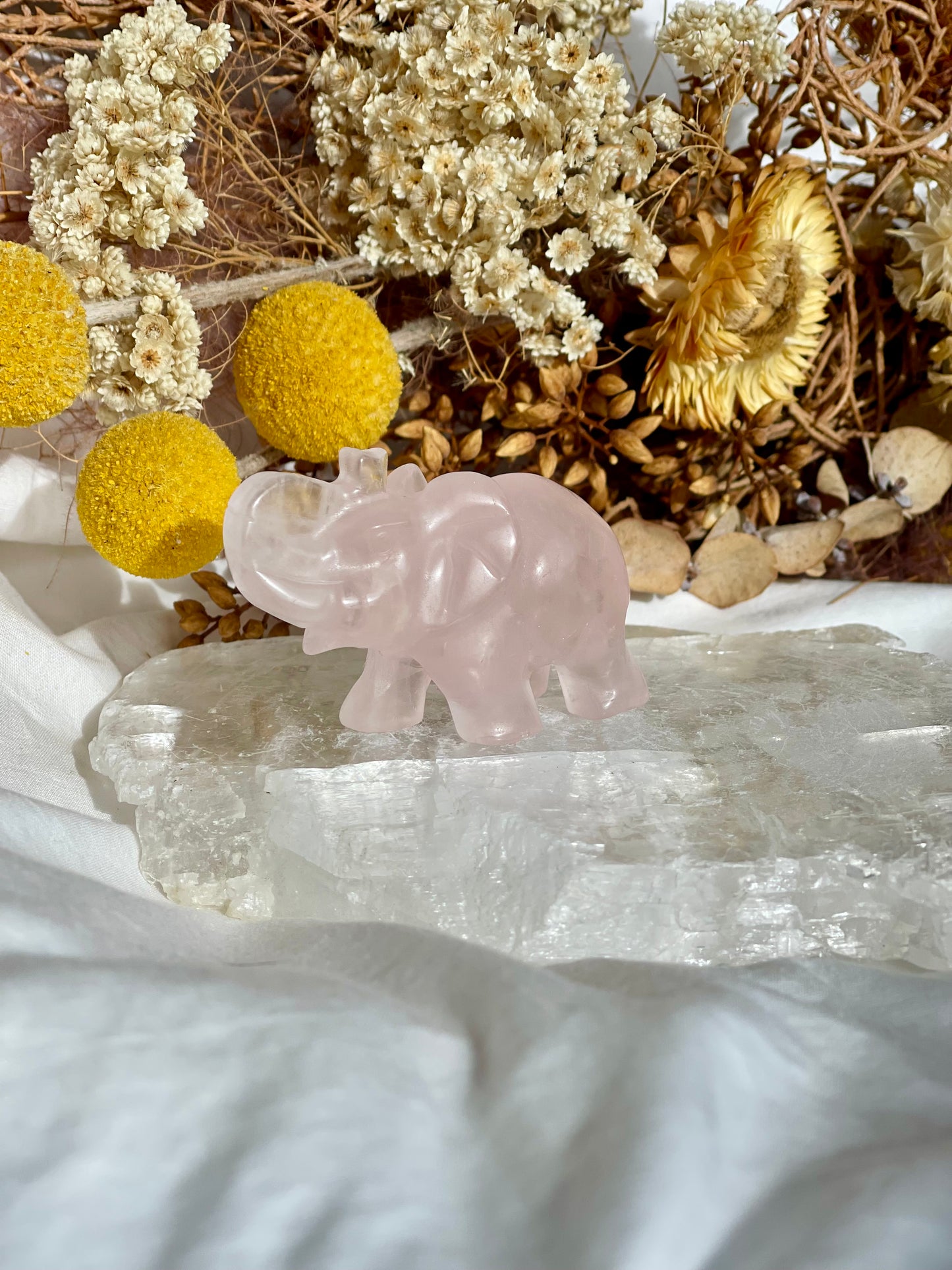 Rose Quartz Elephant