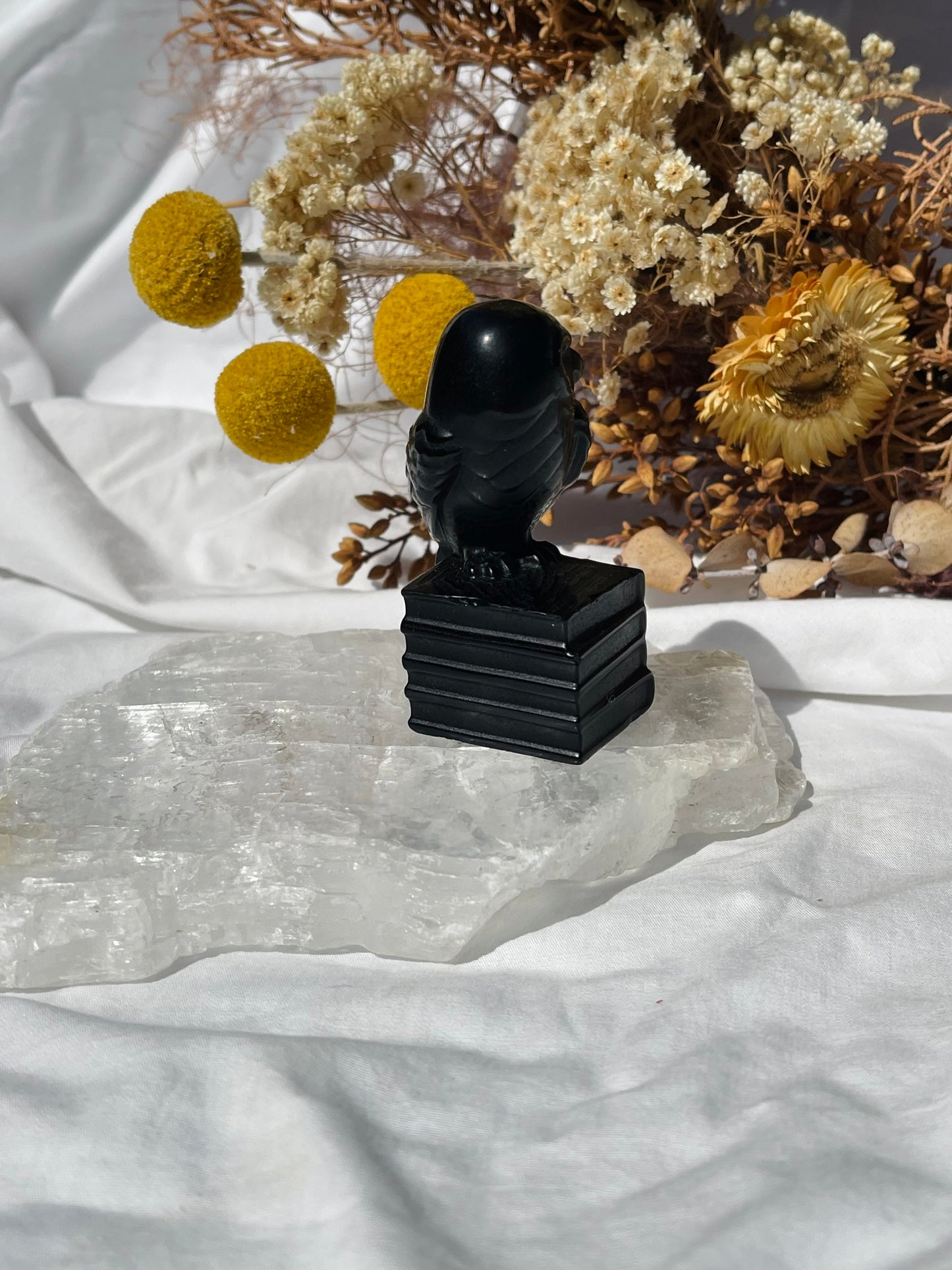 Black Obsidian Owl #2