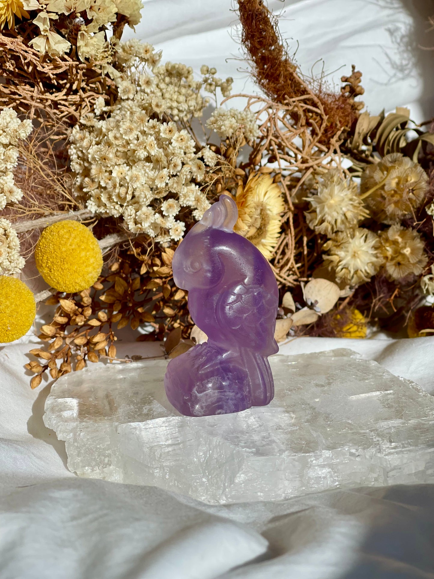 Purple Fluorite Parrott