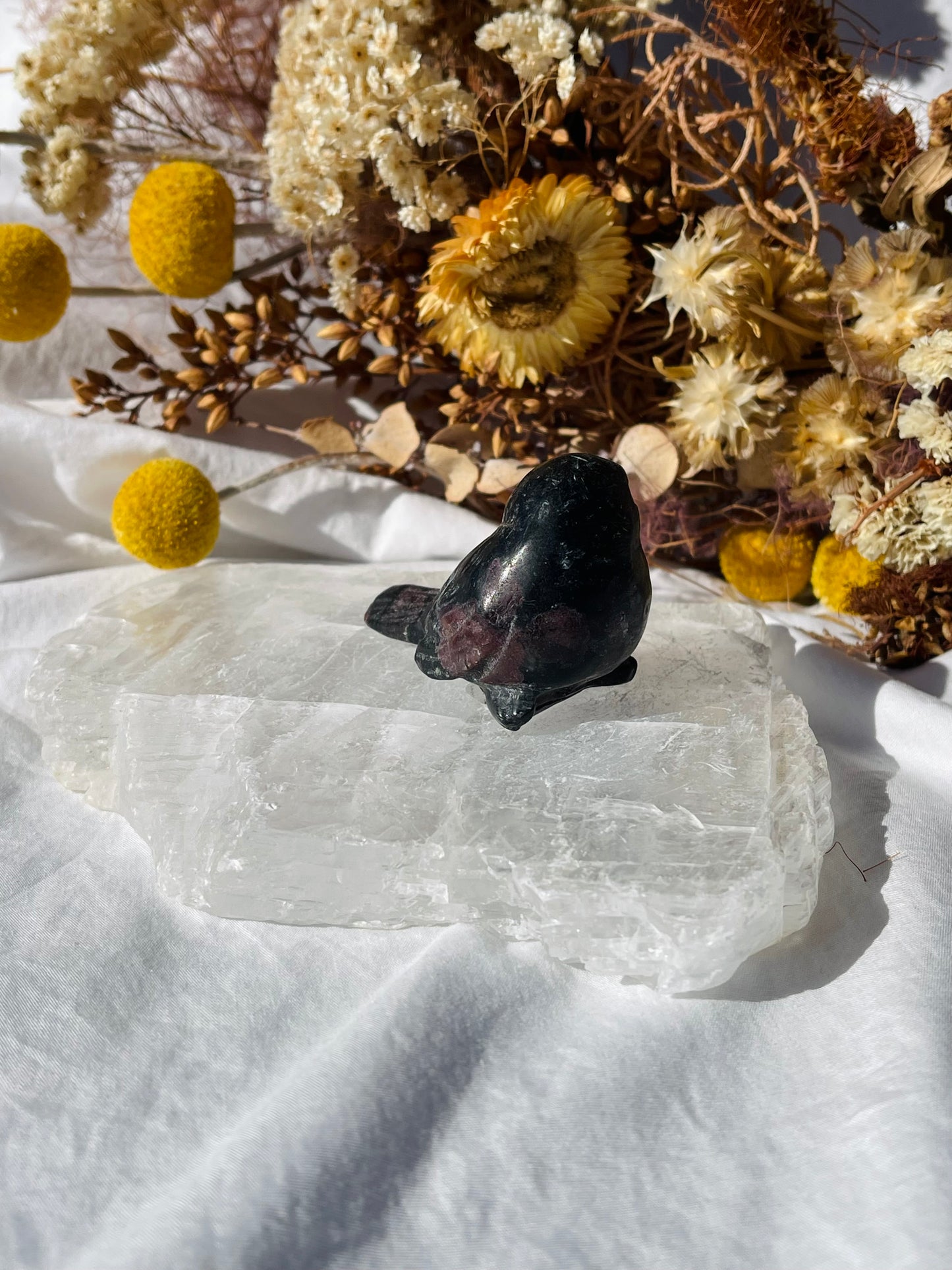 Garnet Astrophyllite Bird #1