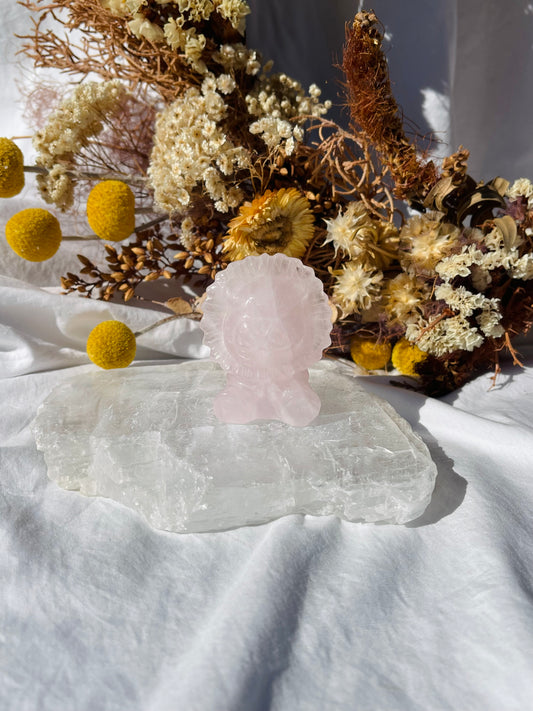 Rose Quartz Sun Lion