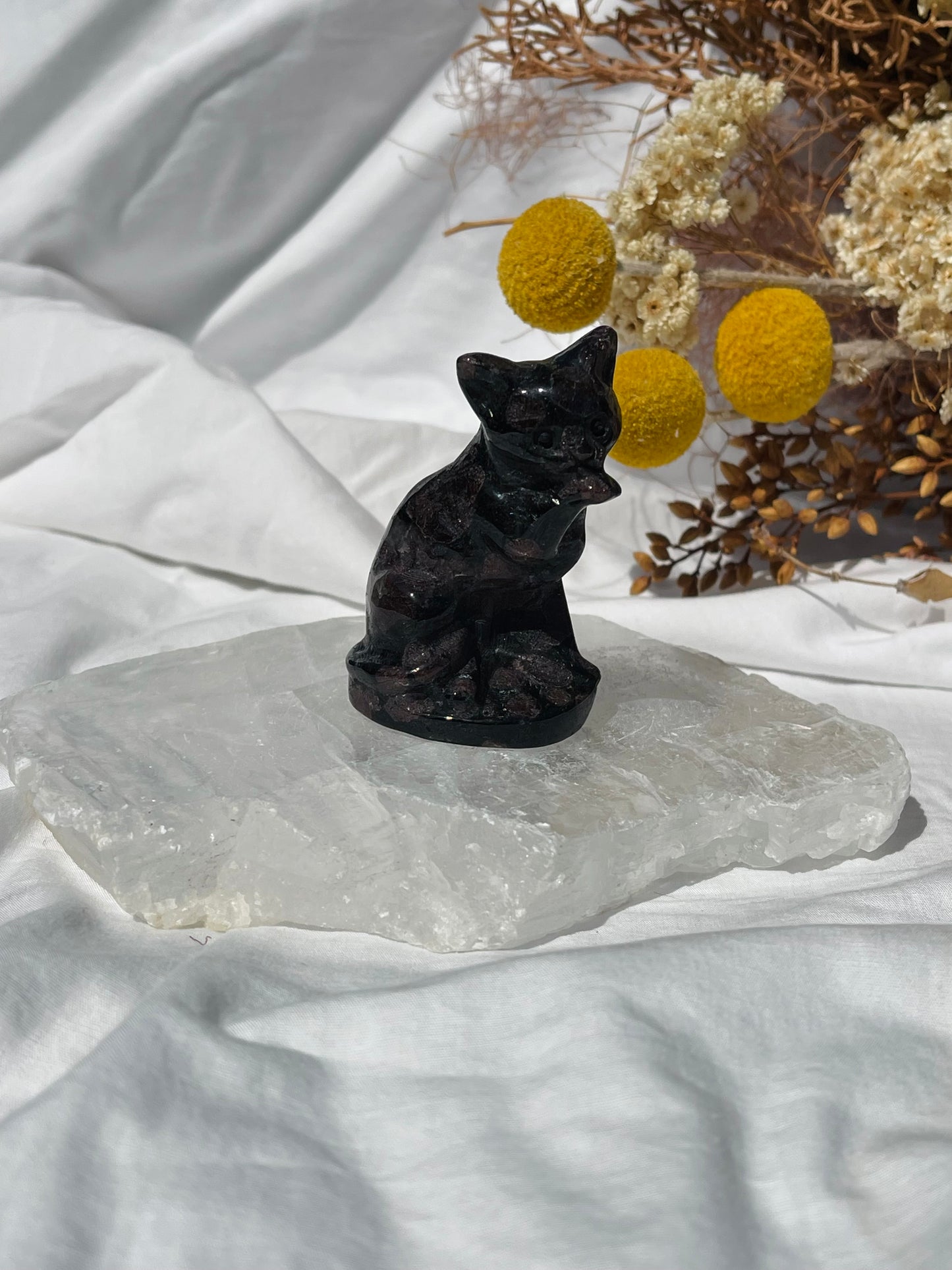 Garnet Astrophyllite Cat #1