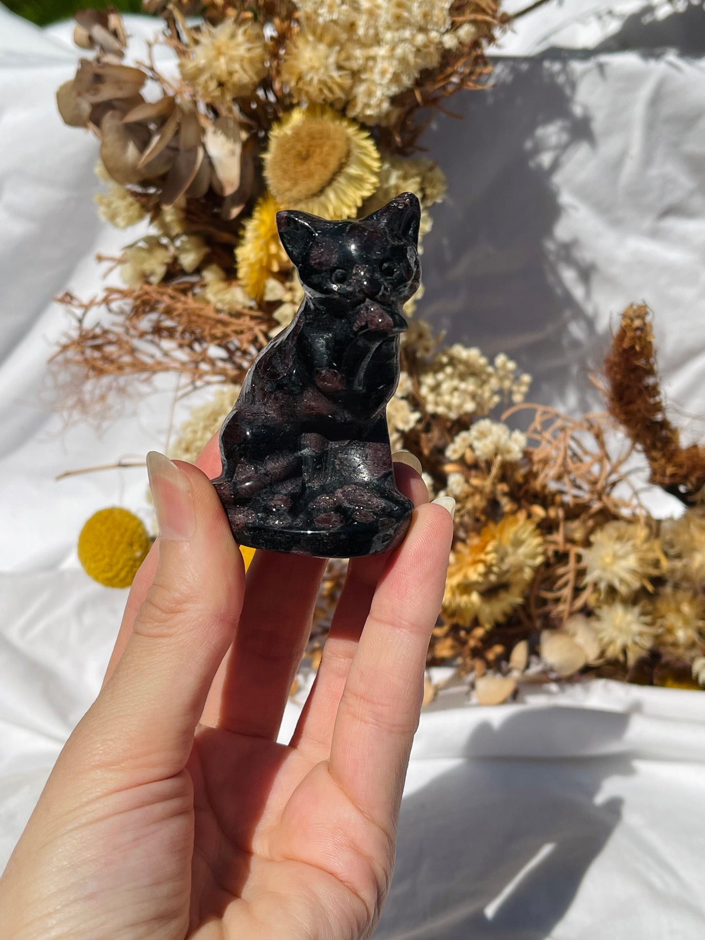 Garnet Astrophyllite Cat #1