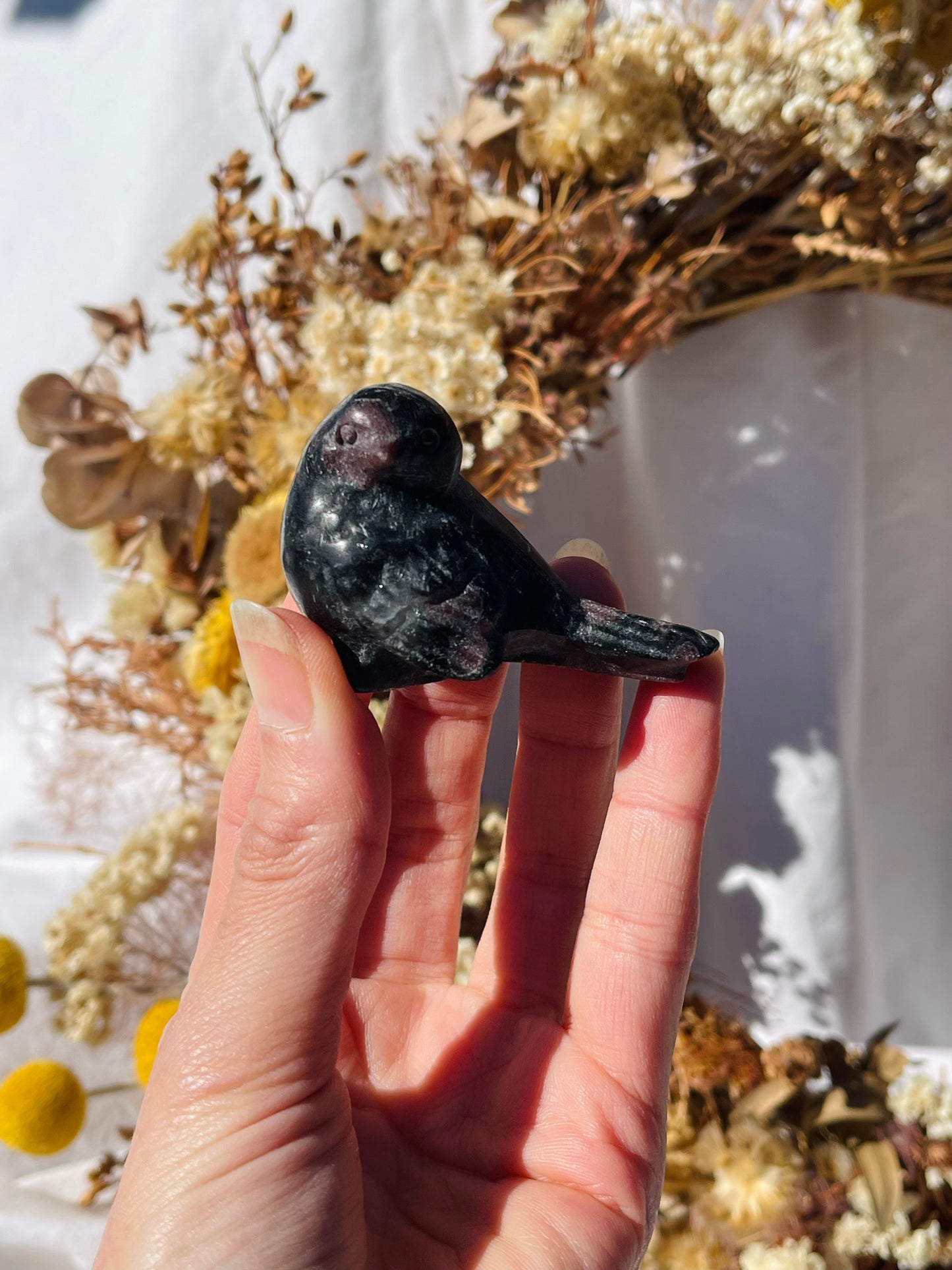 Garnet Astrophyllite Bird #1