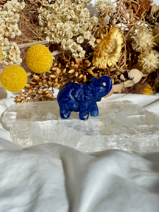 Sodalite Elephant #1