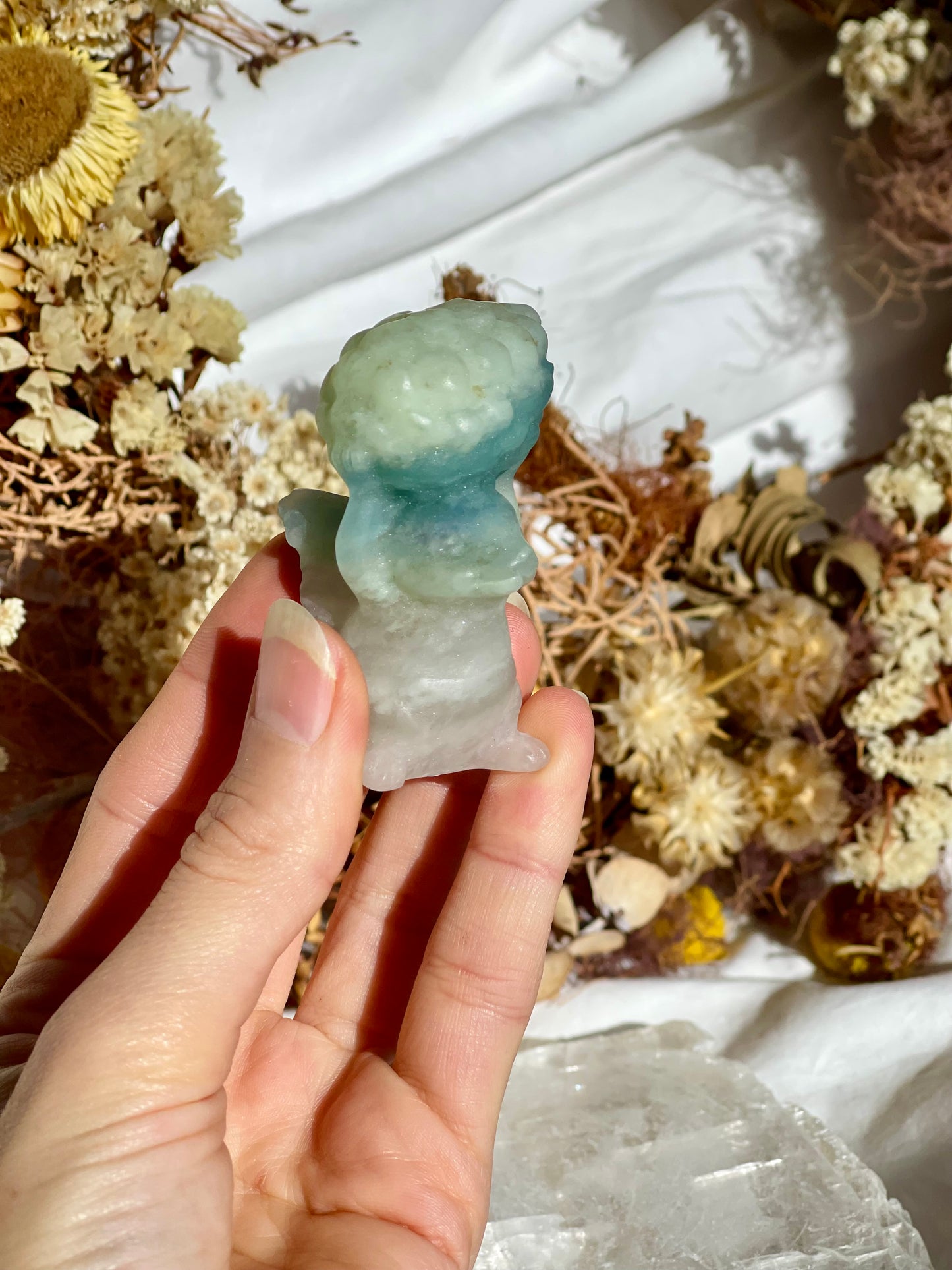 Brazilian Amazonite Squirrel #2