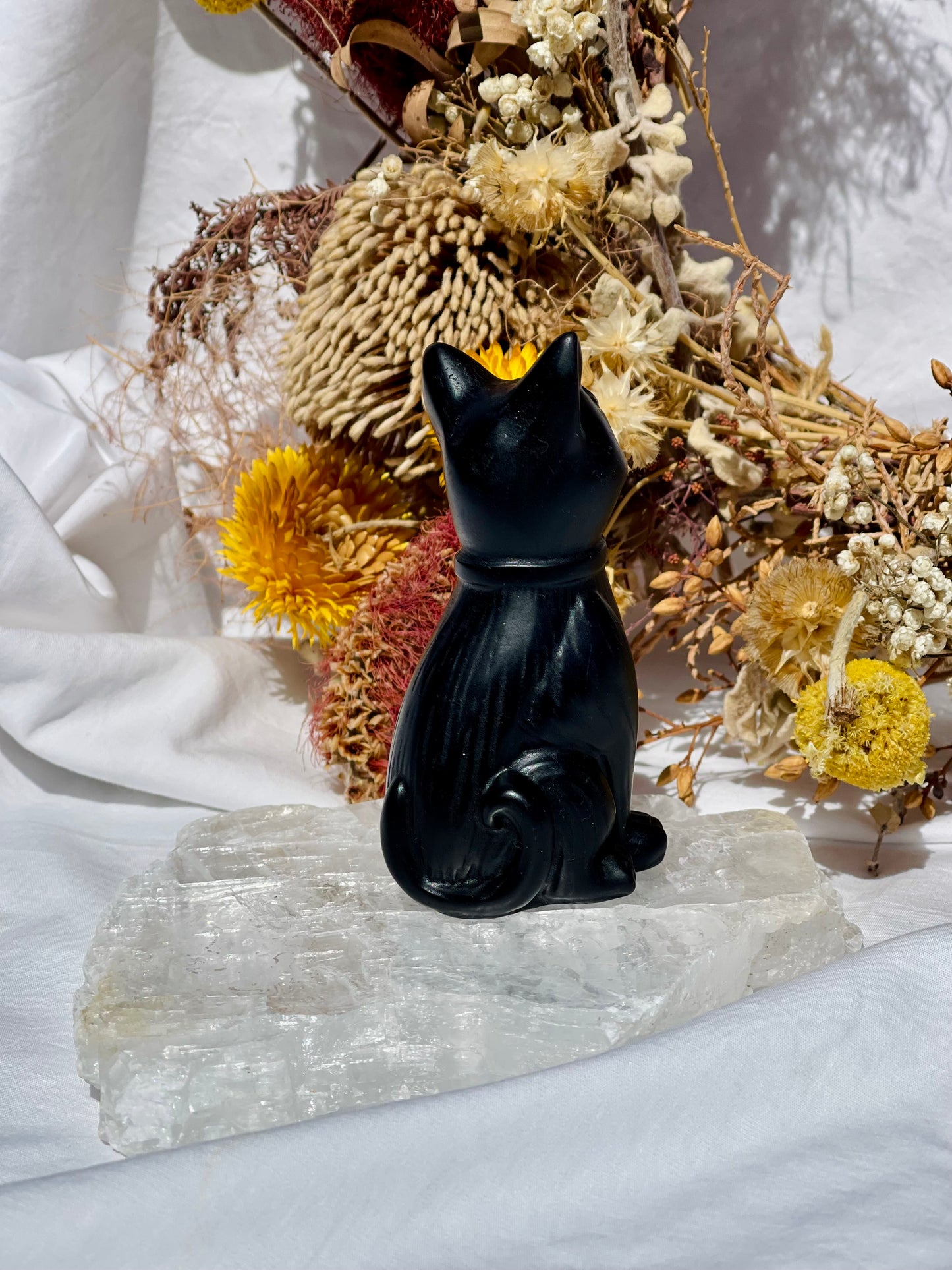 Black Obsidian Cat