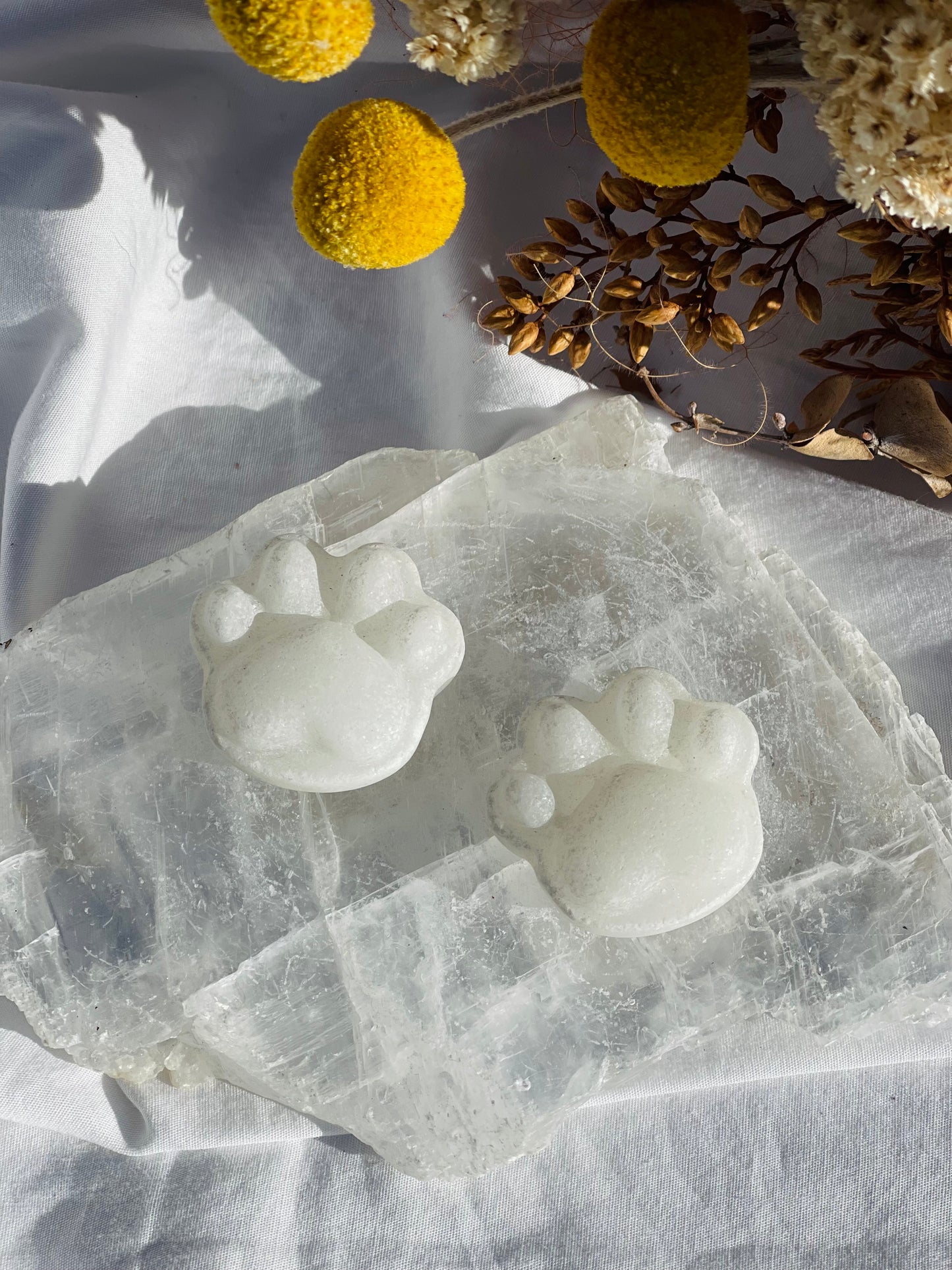 White Jade Paw