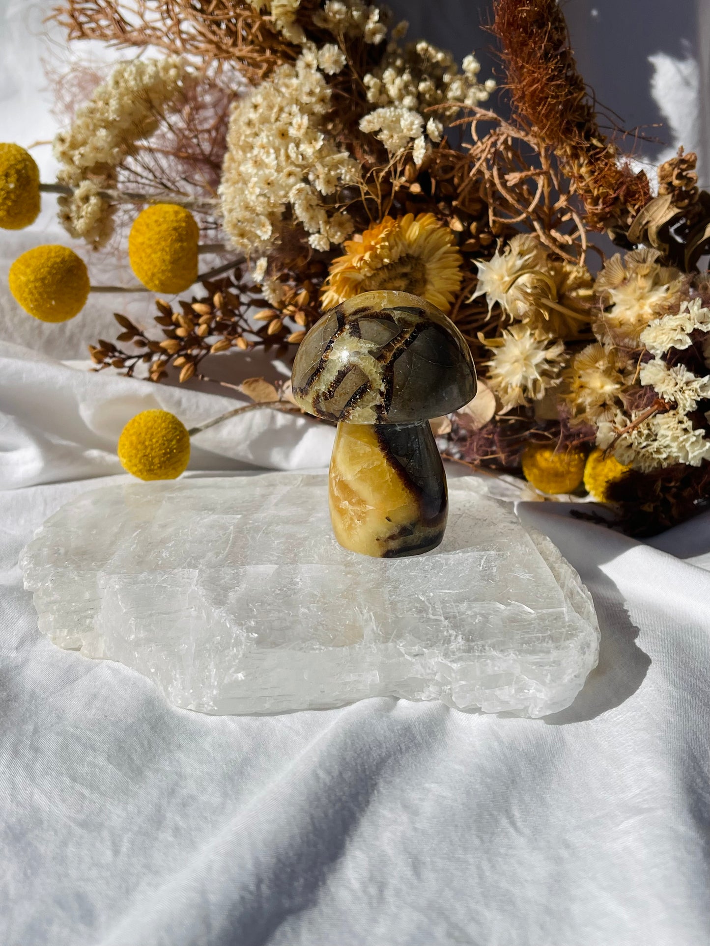 Septarian Dragonstone Mushroom