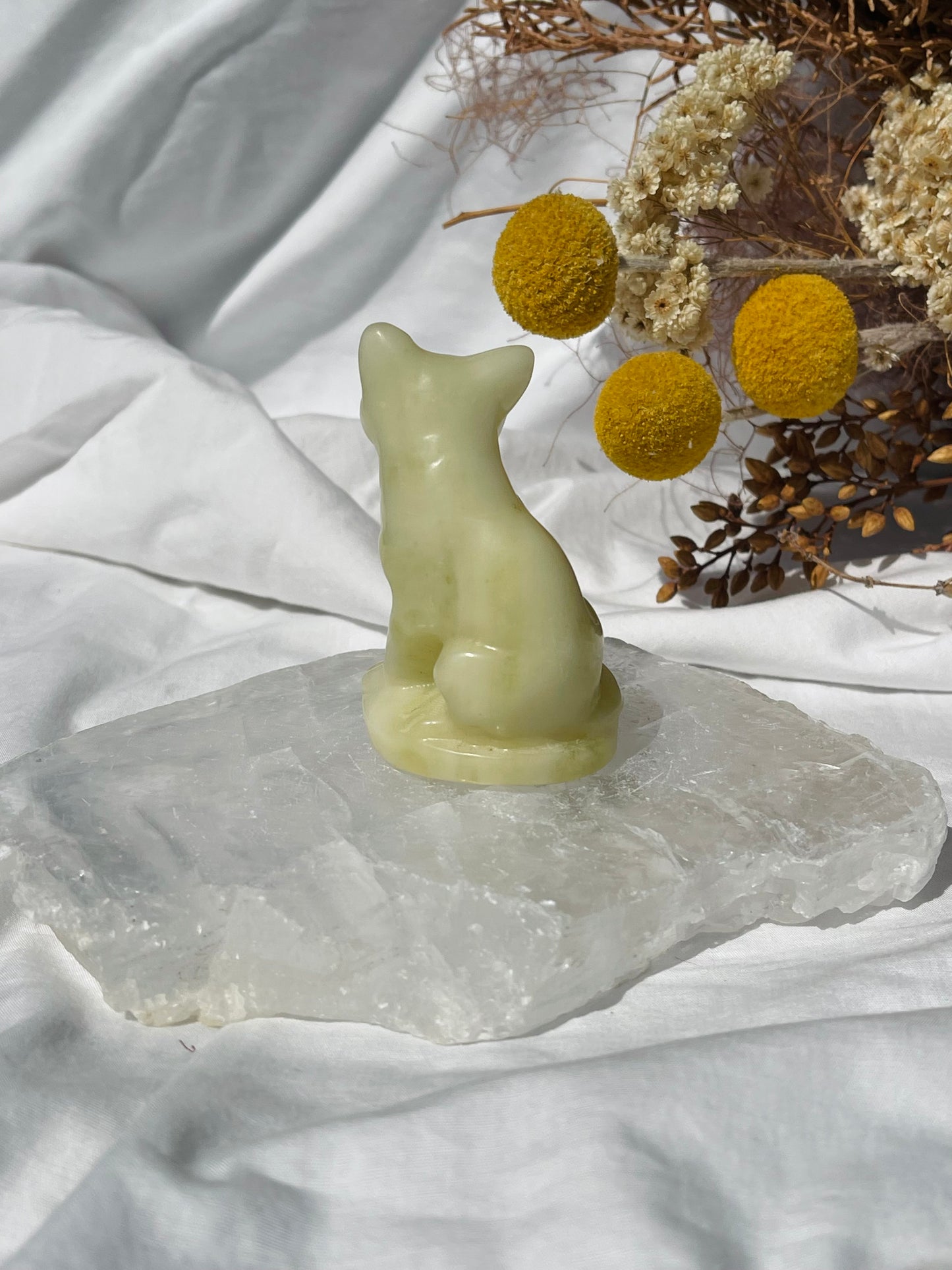 Lemon Jade Cat