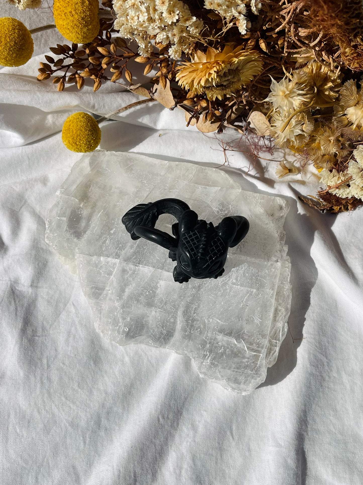 Black Obsidian Toothless Dragon