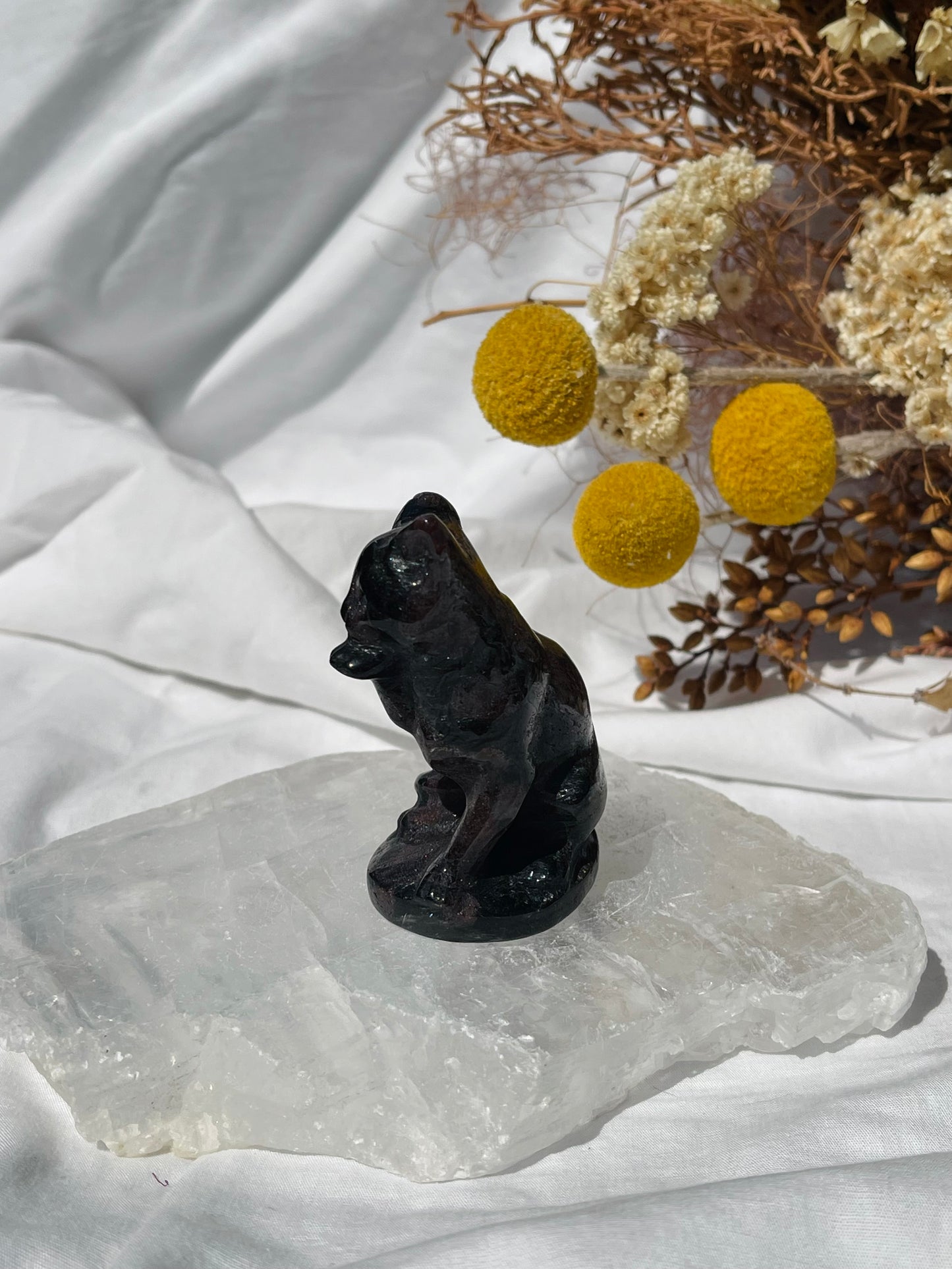 Garnet Astrophyllite Cat #2