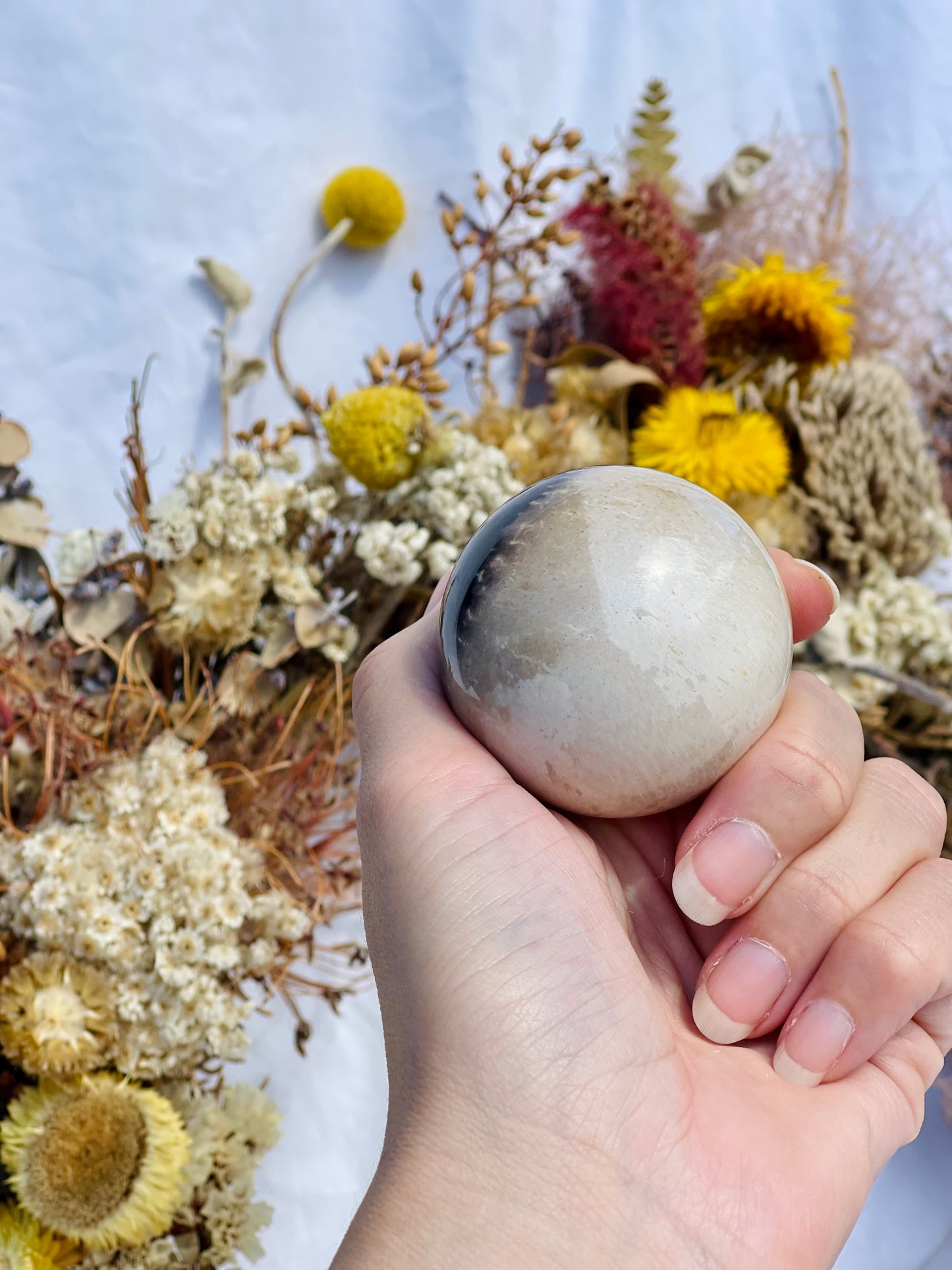 Petrified Palm Root Sphere