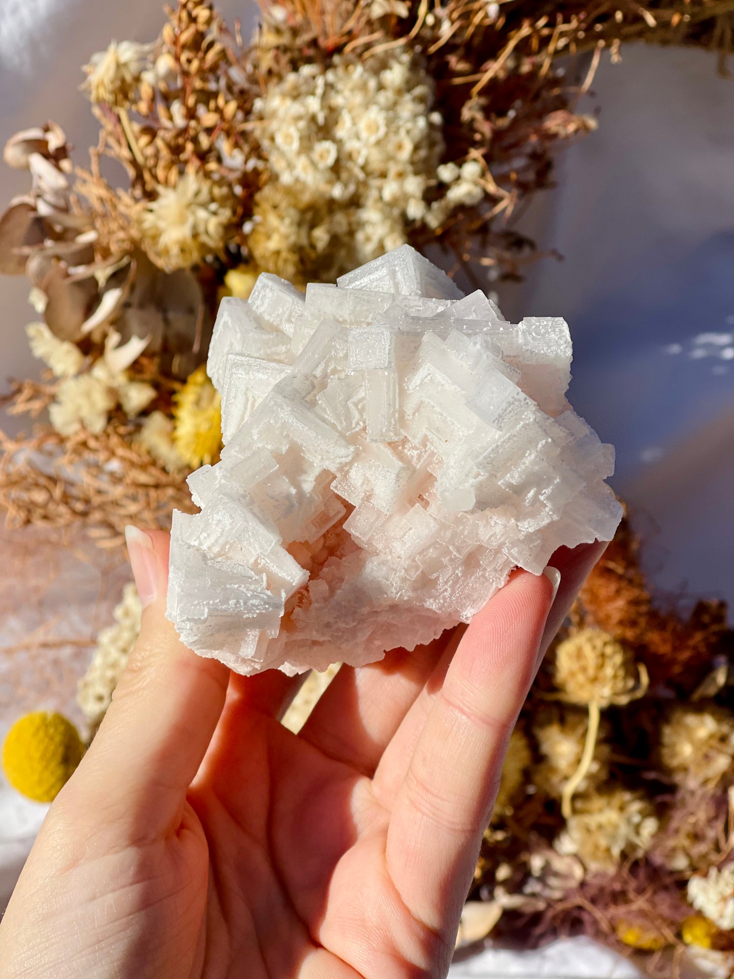 Pink Halite Cluster #3