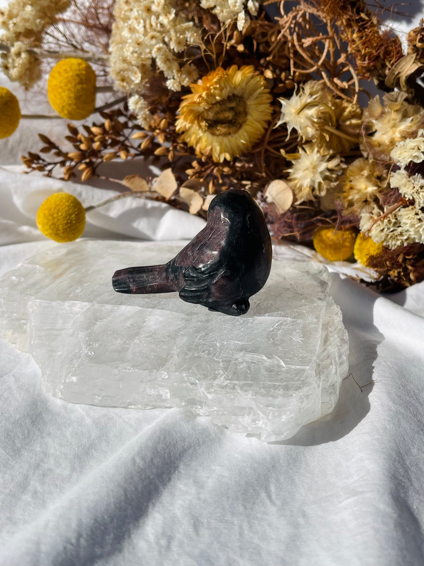 Garnet Astrophyllite Bird #2