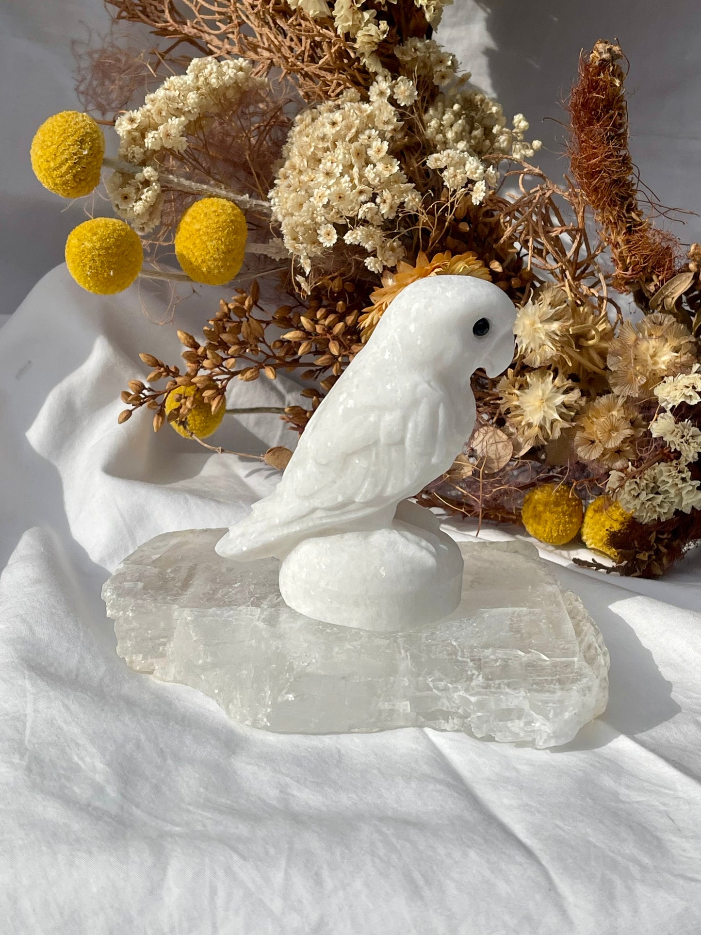 White Jade Parrot