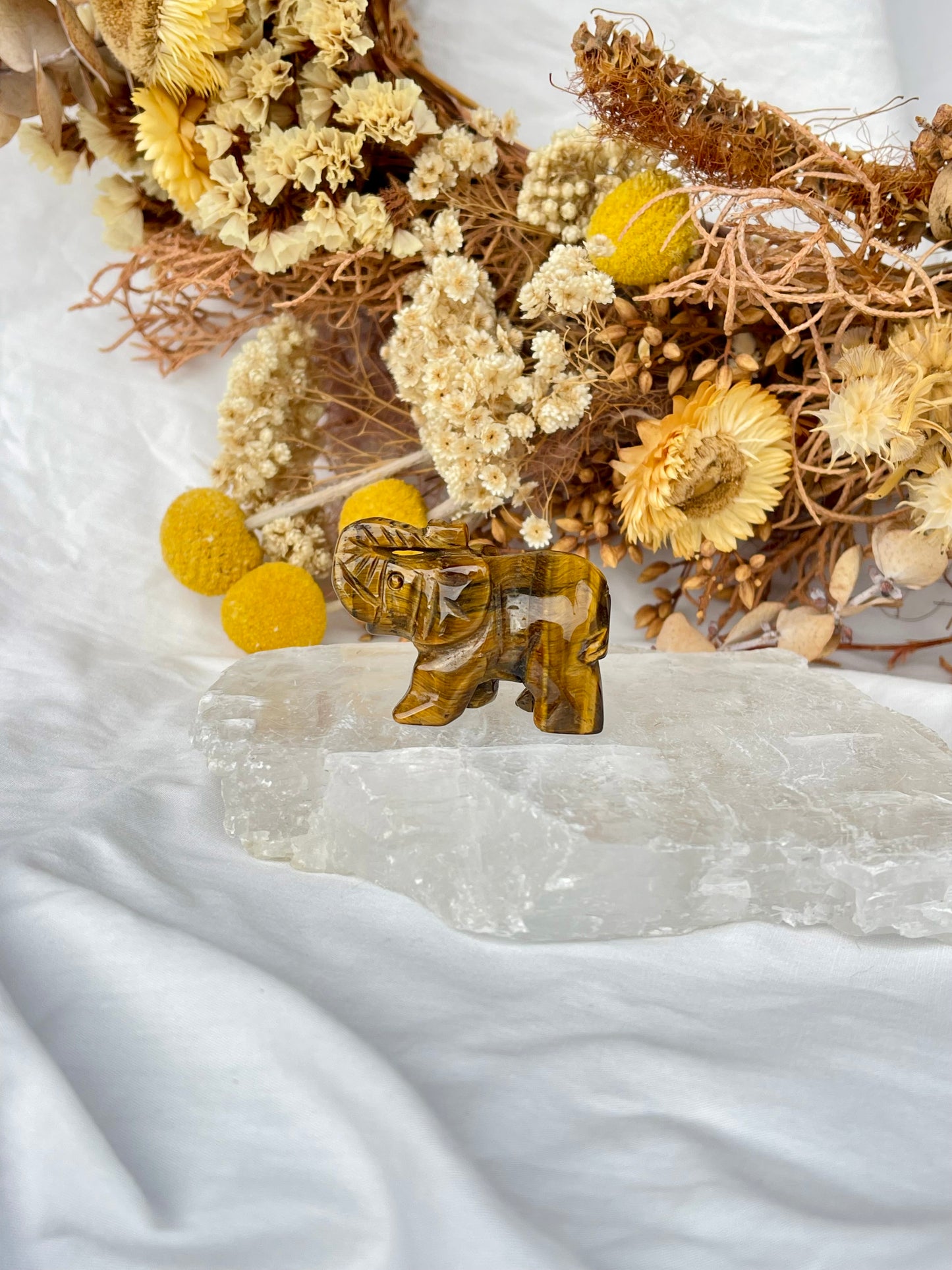 Tiger Eye Elephant #1