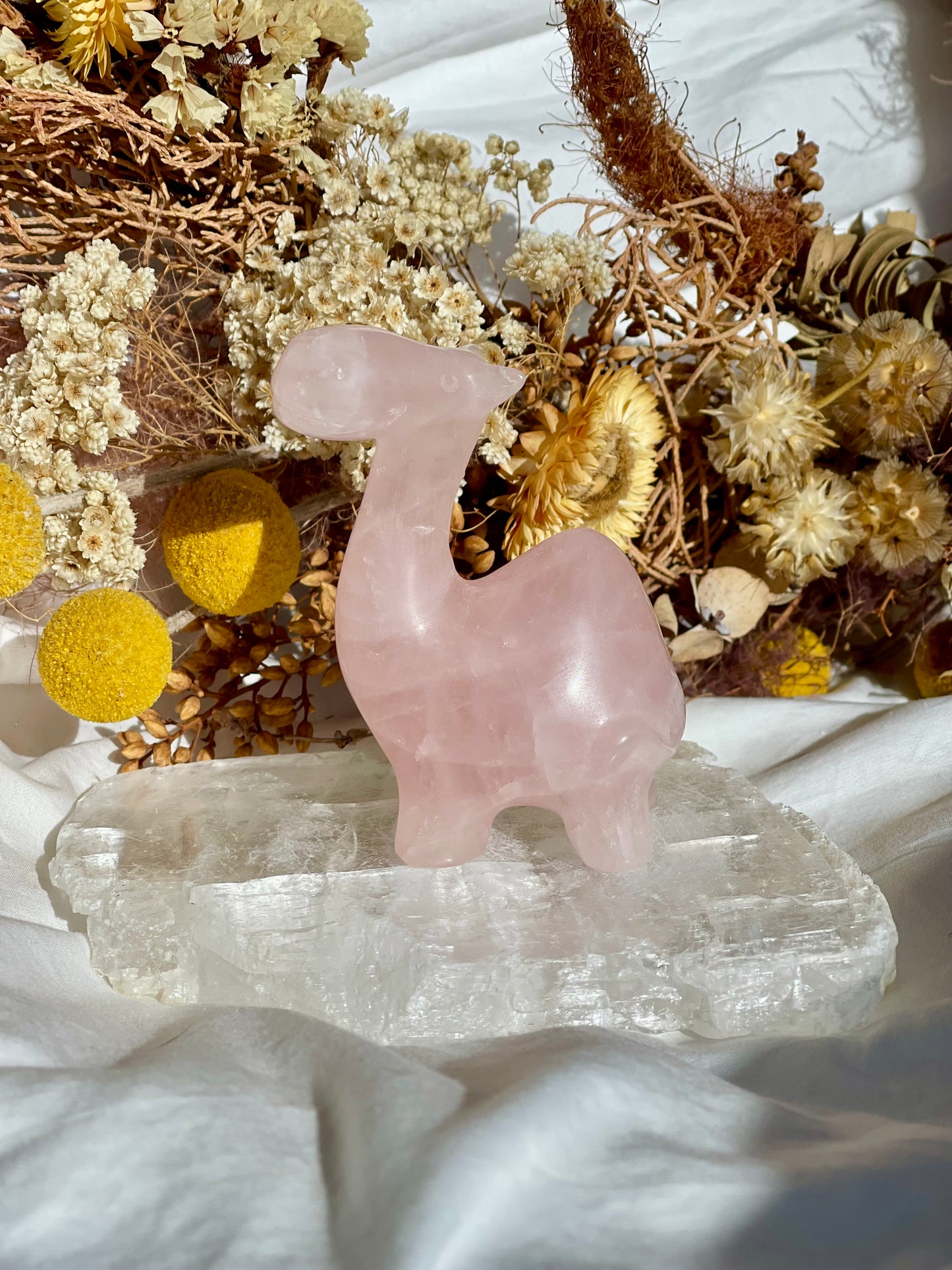 Rose Quartz Camel