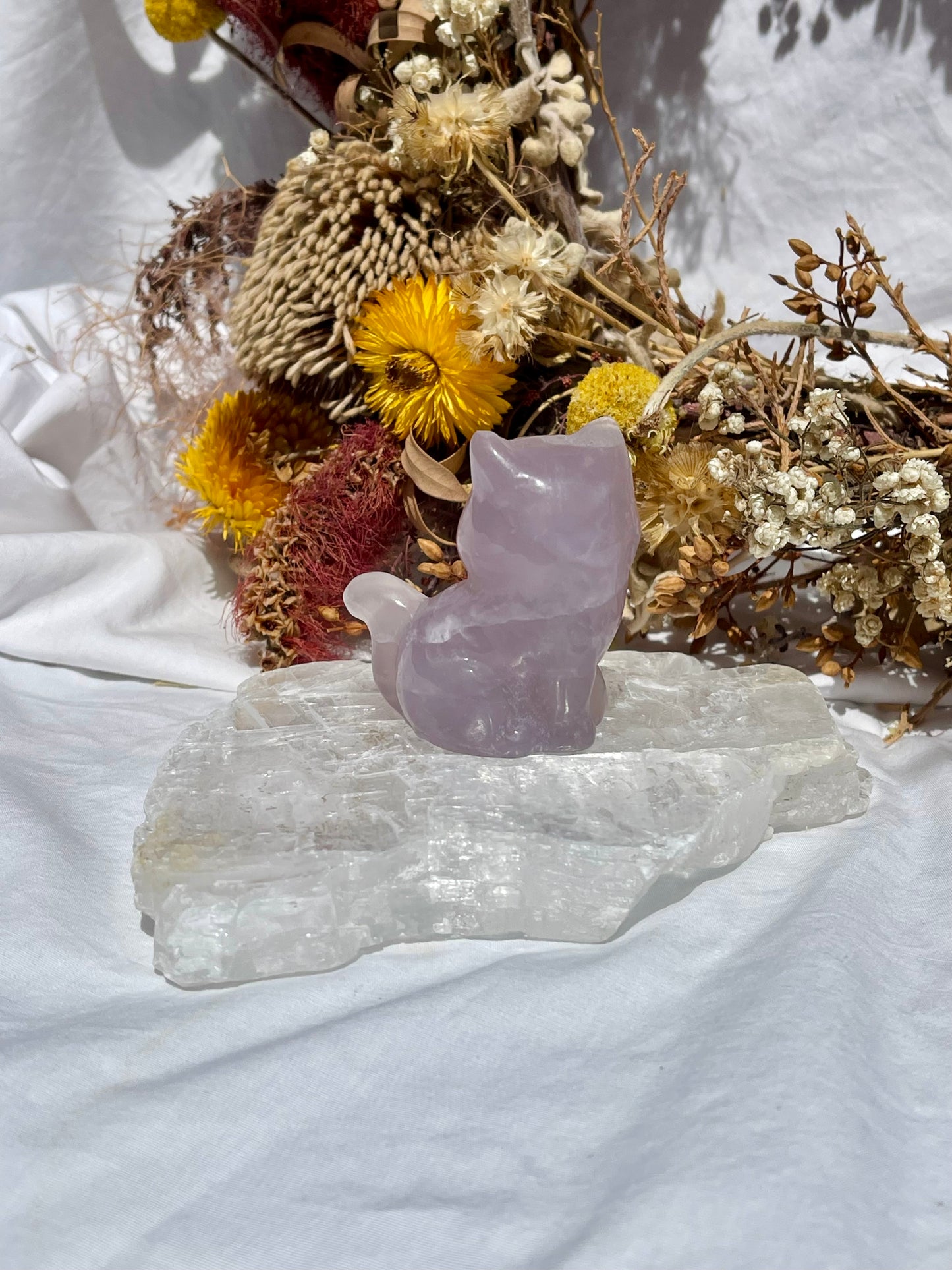 Purple Fluorite Grumpy Cat